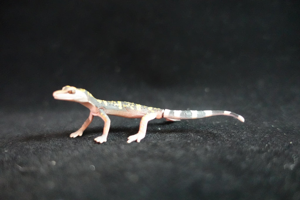 Kaiyodo ChocoQ Animatales Series 8 Spotted Short Tail Gecko Lizard B