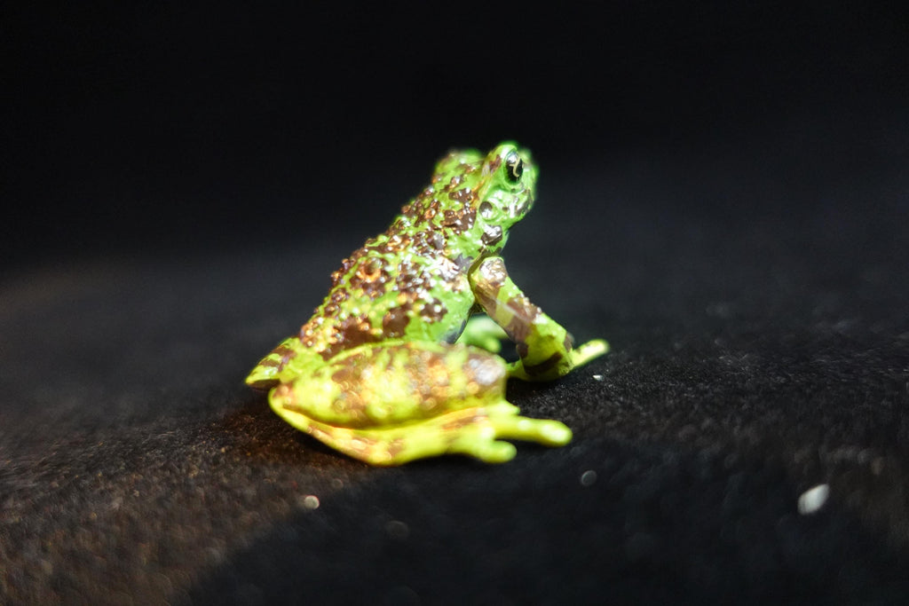 Kaiyodo ChocoQ Animatales Series 8 Ishikawa's Frog