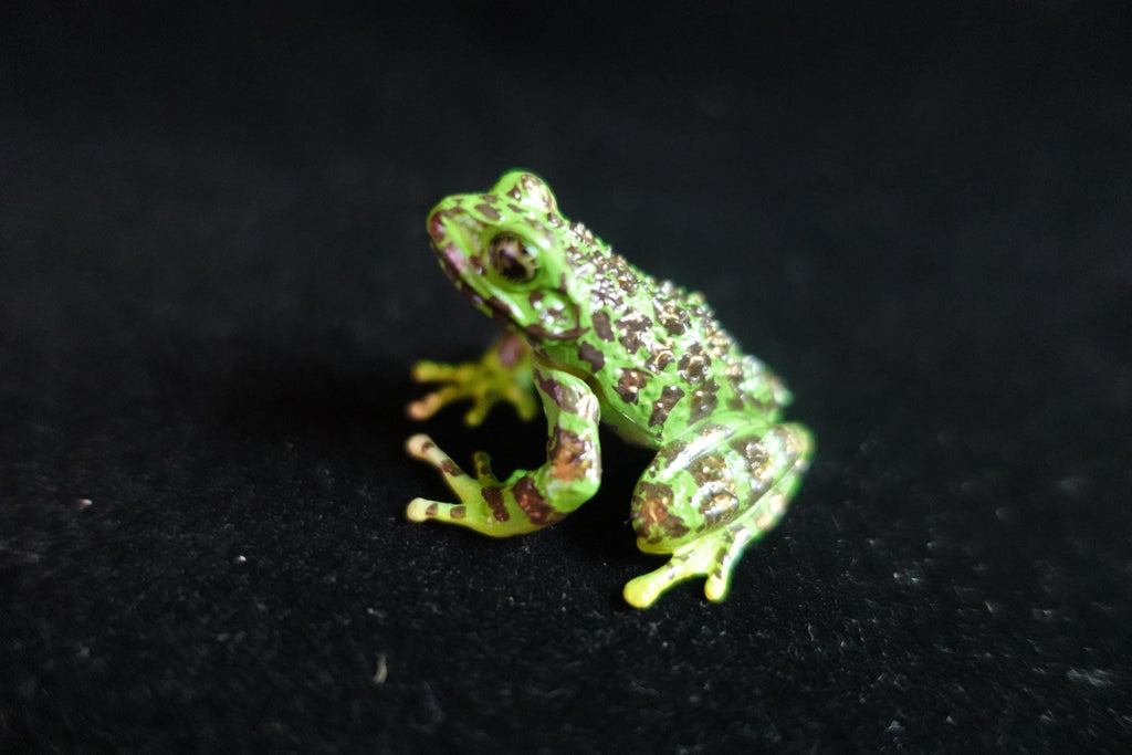Kaiyodo ChocoQ Animatales Series 8 Ishikawa's Frog