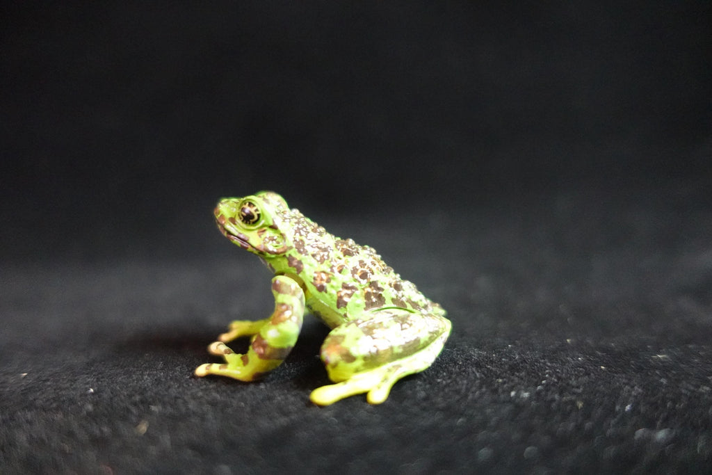 Kaiyodo ChocoQ Animatales Series 8 Ishikawa's Frog