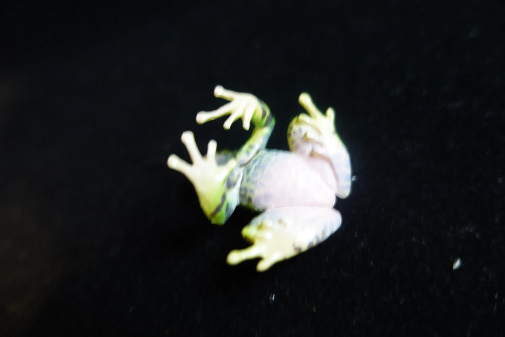 Kaiyodo ChocoQ Animatales Series 8 Ishikawa's Frog