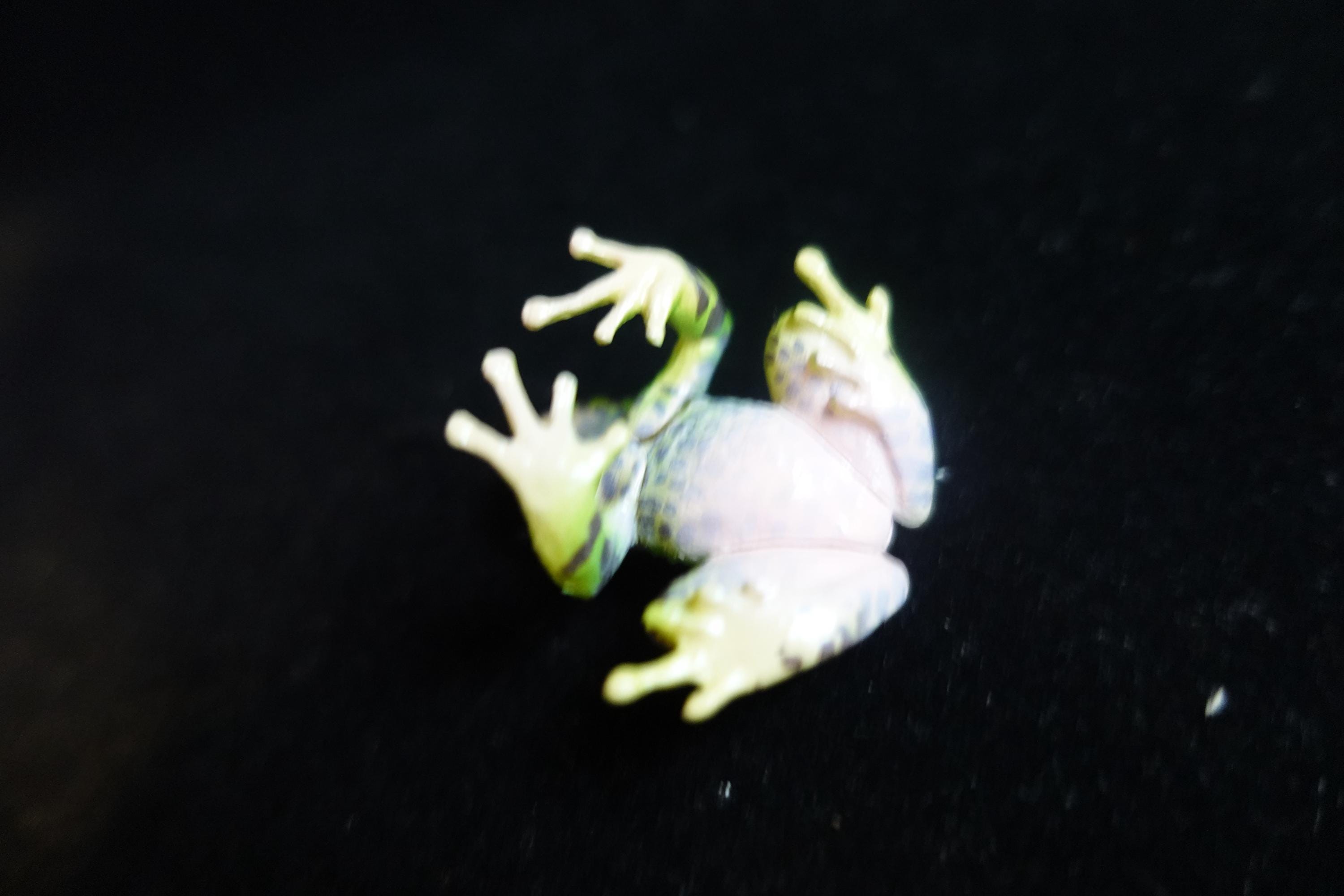 Kaiyodo ChocoQ Animatales Series 8 Ishikawa's Frog