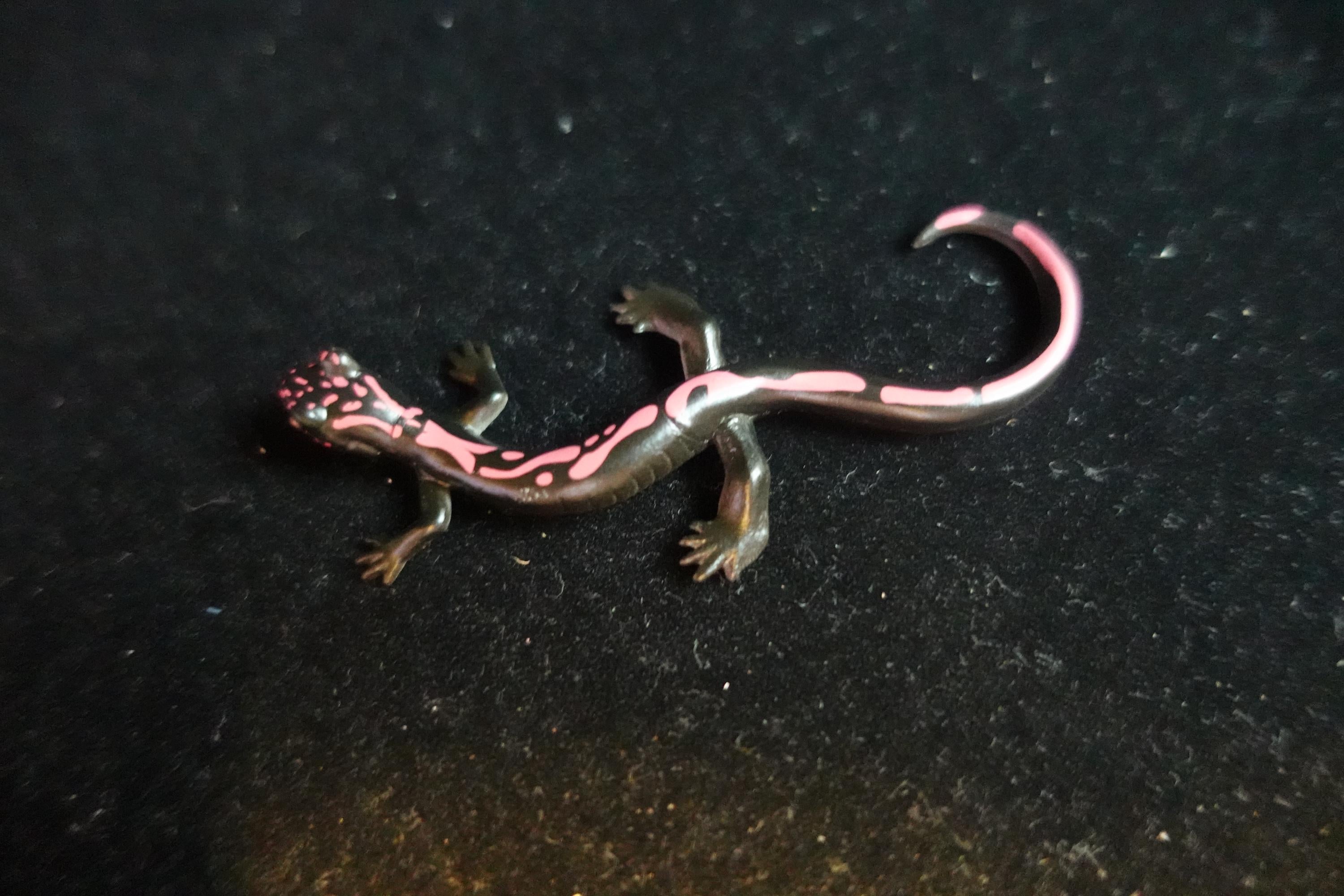 Kaiyodo ChocoQ Animatales Series 8 Japan Hakone Salamander B