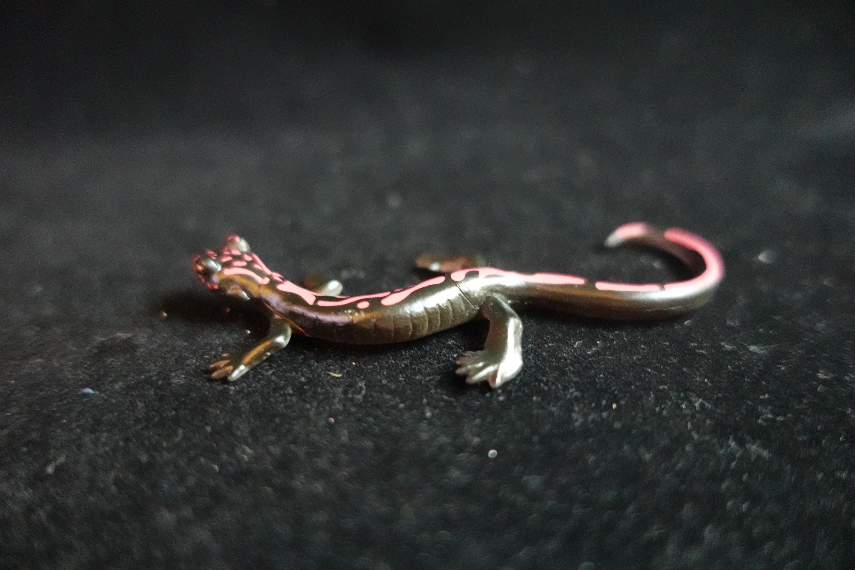 Kaiyodo ChocoQ Animatales Series 8 Japan Hakone Salamander B