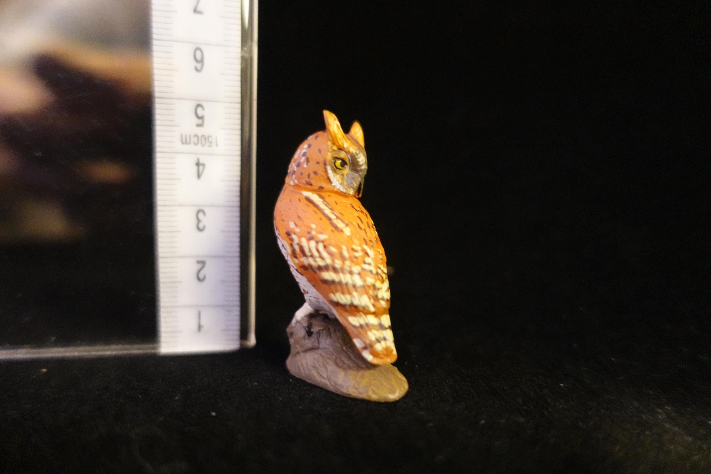 Kaiyodo ChocoQ Animatales Series 8 Japanese Screech Owl B
