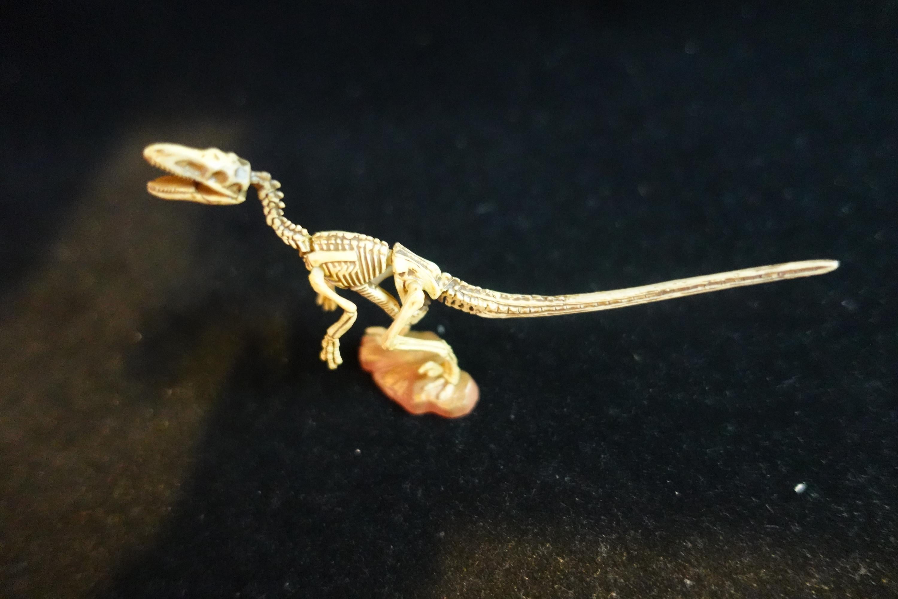 Kaiyodo UHA Dinotales Series3 Deinonychus