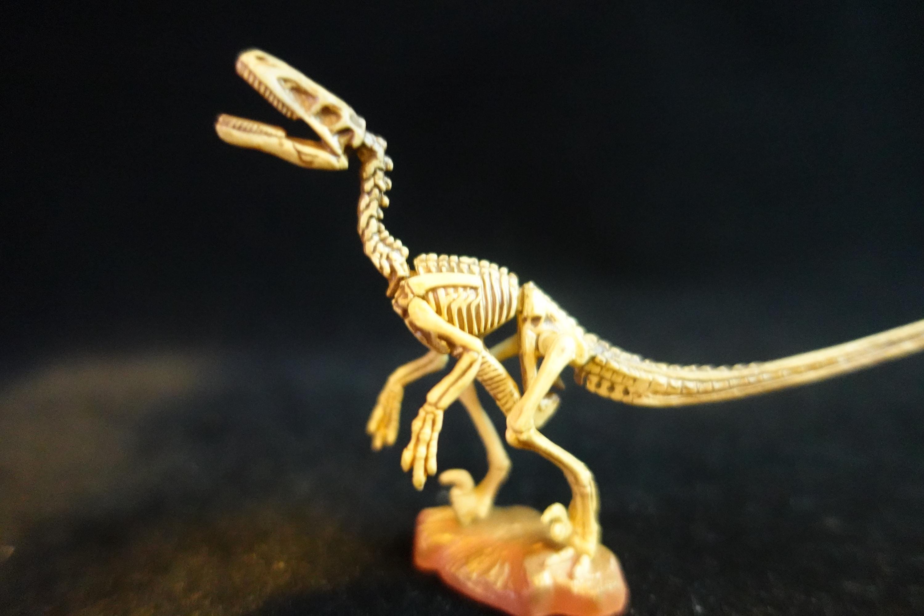Kaiyodo UHA Dinotales Series3 Deinonychus
