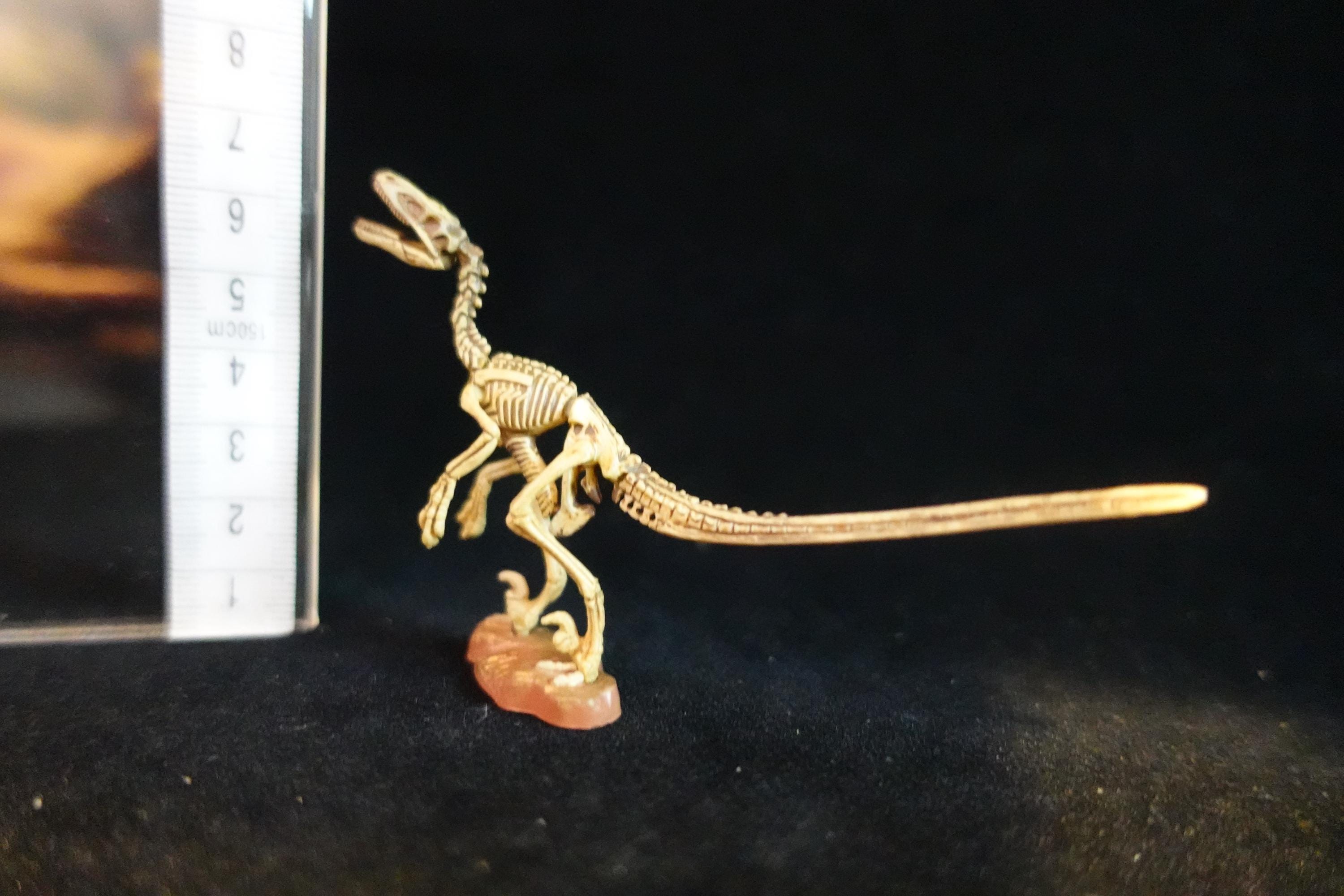Kaiyodo UHA Dinotales Series3 Deinonychus