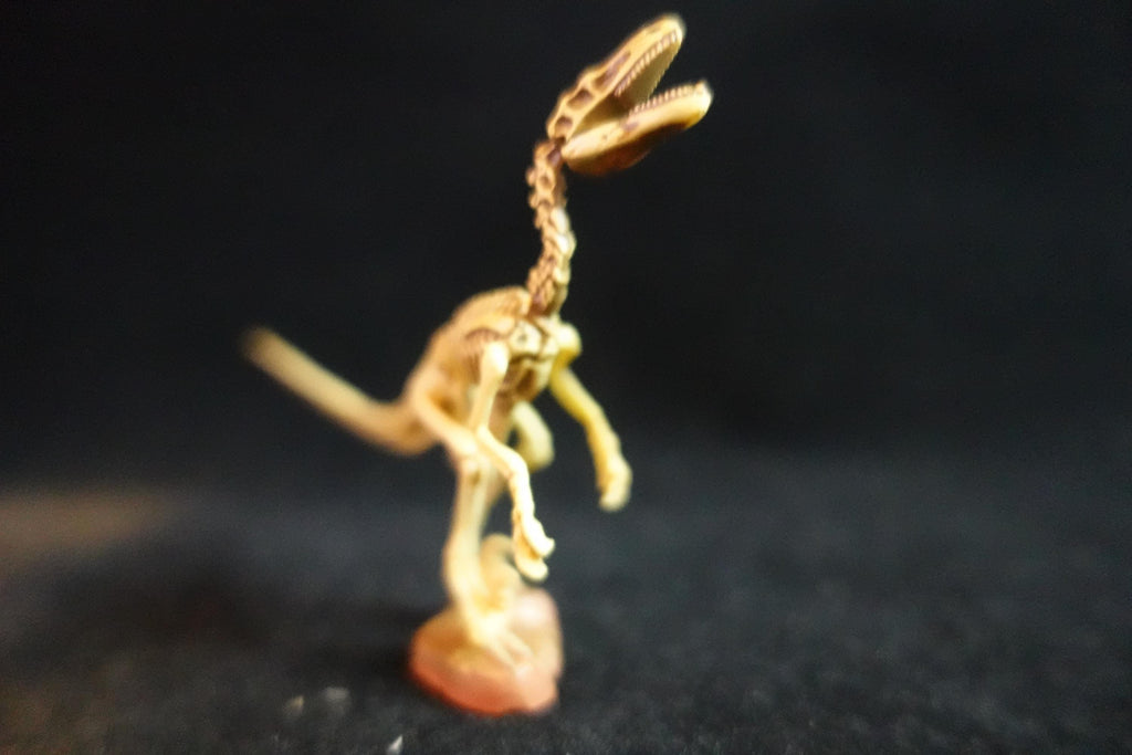 Kaiyodo UHA Dinotales Series3 Deinonychus