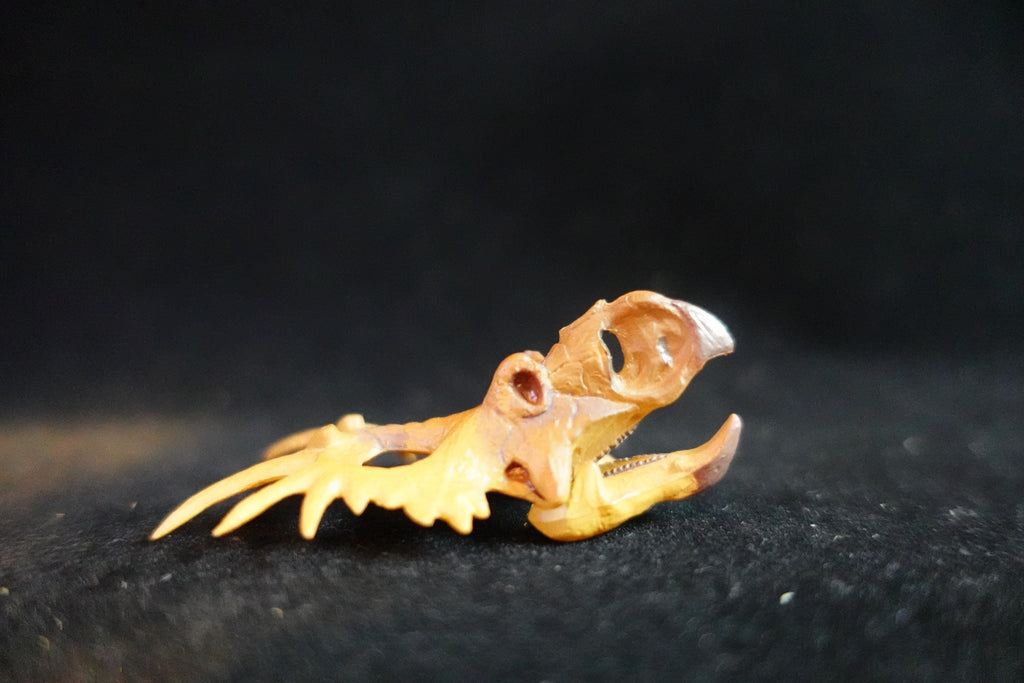Kaiyodo UHA Dinotales Series 3 Styracosaurus Skull