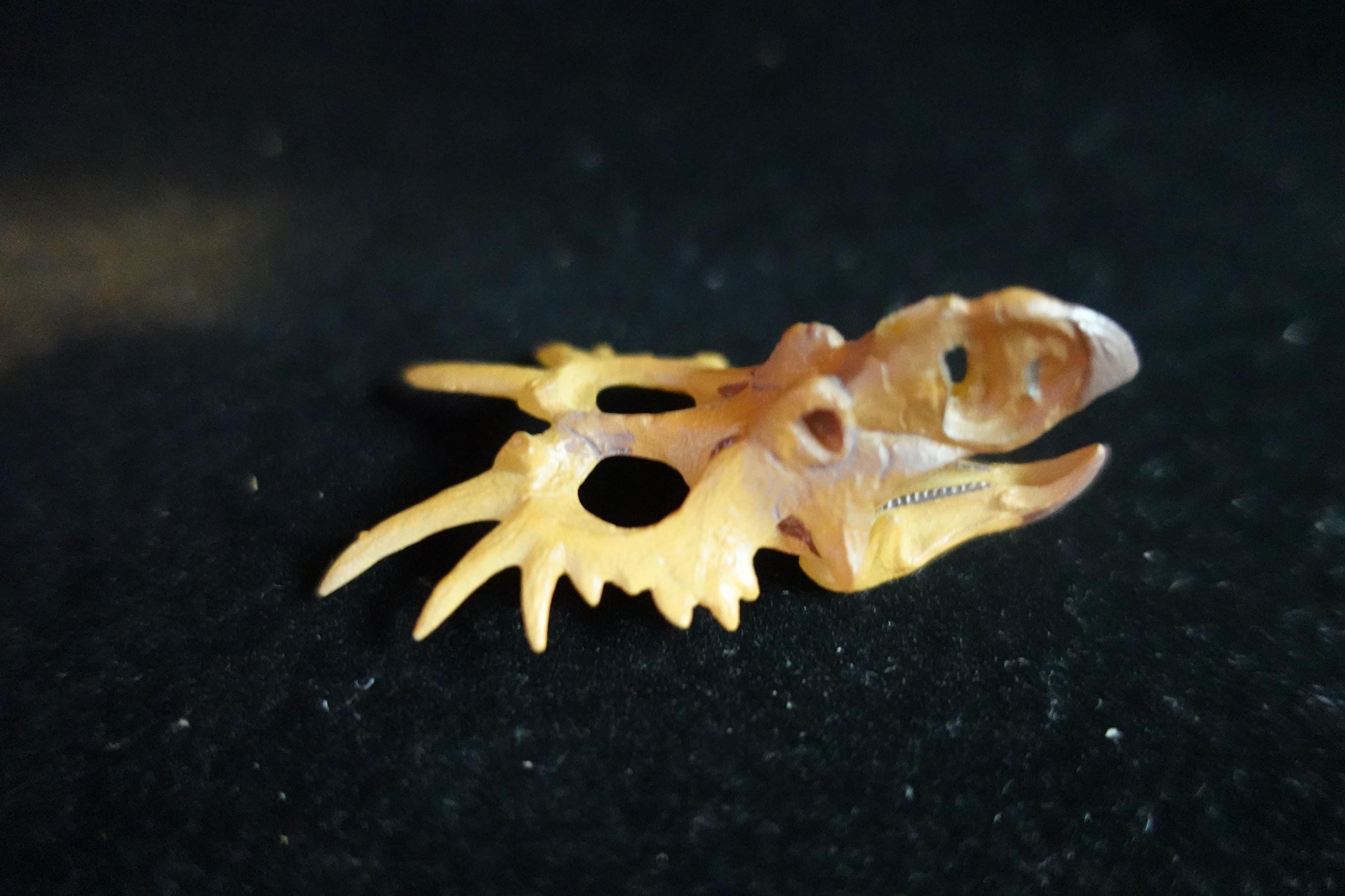 Kaiyodo UHA Dinotales Series 3 Styracosaurus Skull