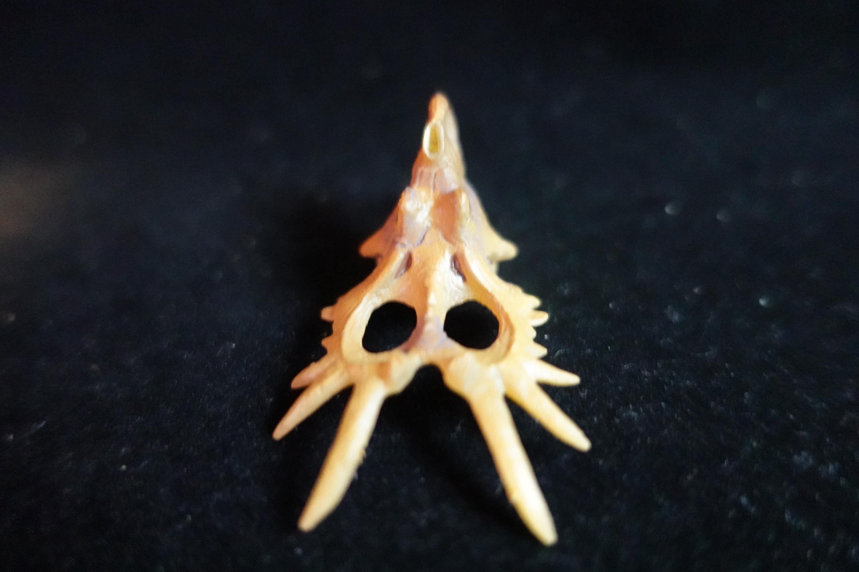 Kaiyodo UHA Dinotales Series 3 Styracosaurus Skull