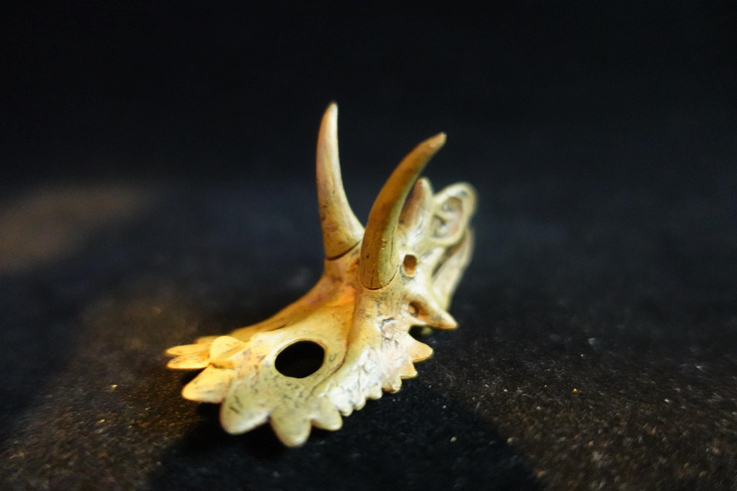 Kaiyodo Dinotales 7 Lawson Edition Part 2 Anchiceratops B