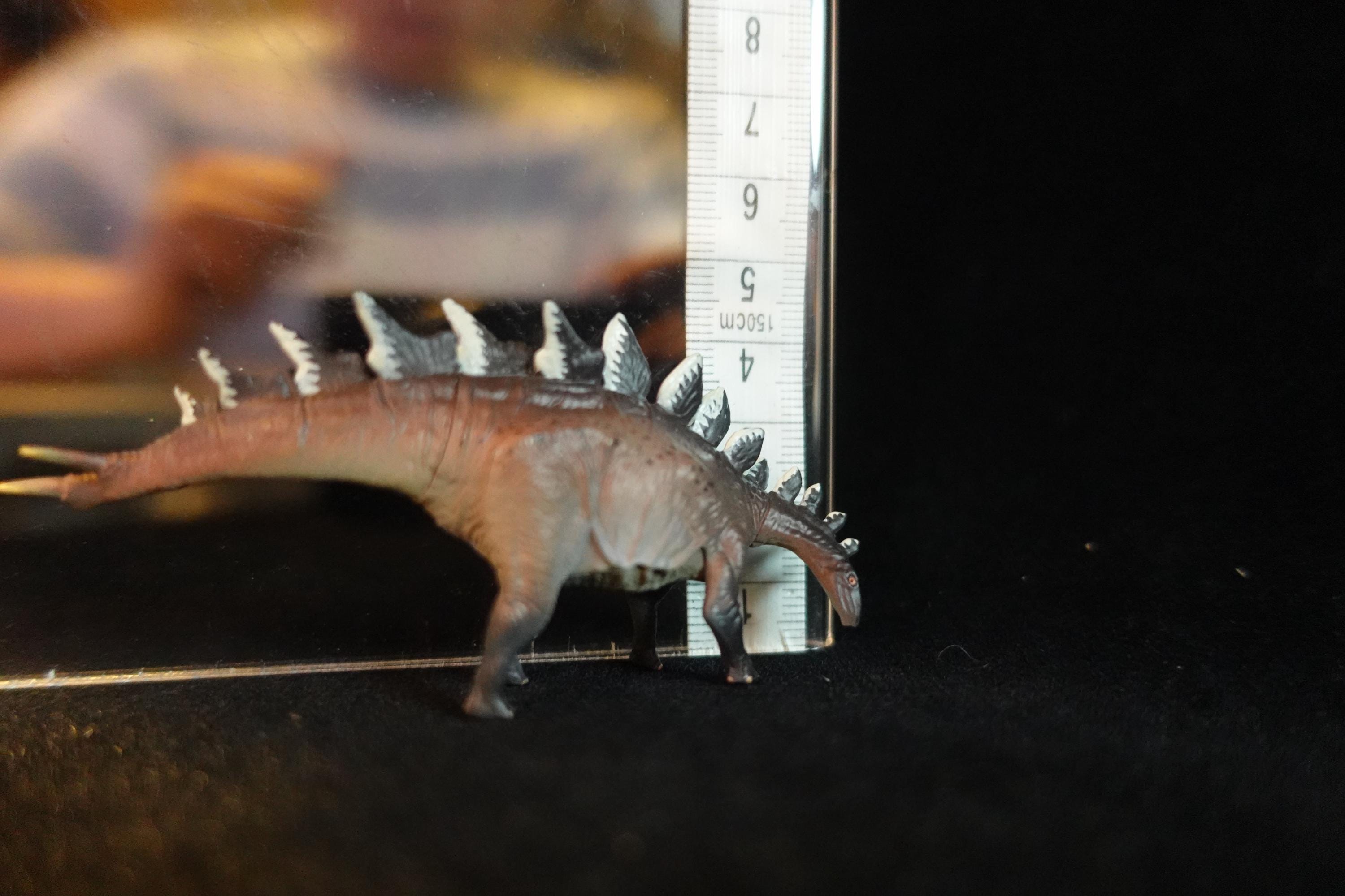 Kaiyodo Dinotales 7 Lawson Edition Part 2 Huayangosaurus A
