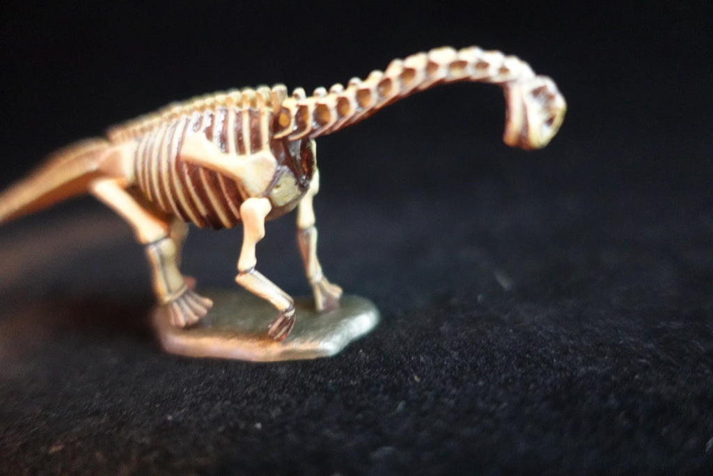 Kaiyodo Dinotales 7 Lawson Edition Part 2 Camarasaurus B