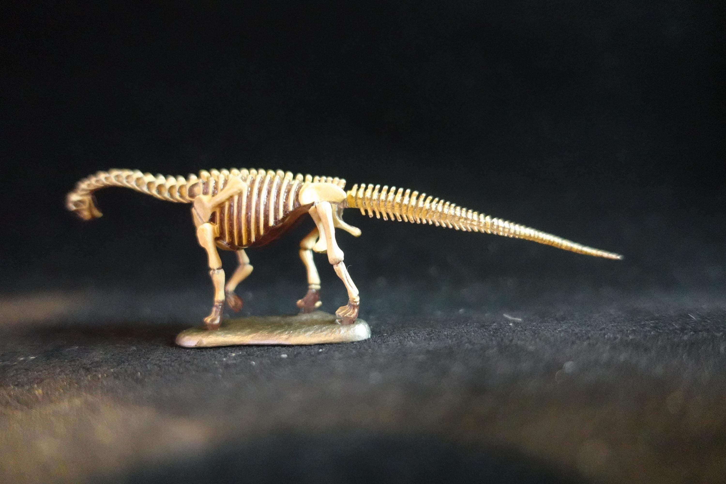 Kaiyodo Dinotales 7 Lawson Edition Part 2 Camarasaurus B