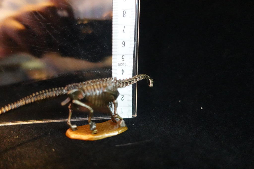 Kaiyodo Dinotales 7 Lawson Edition Part 2 Camarasaurus A