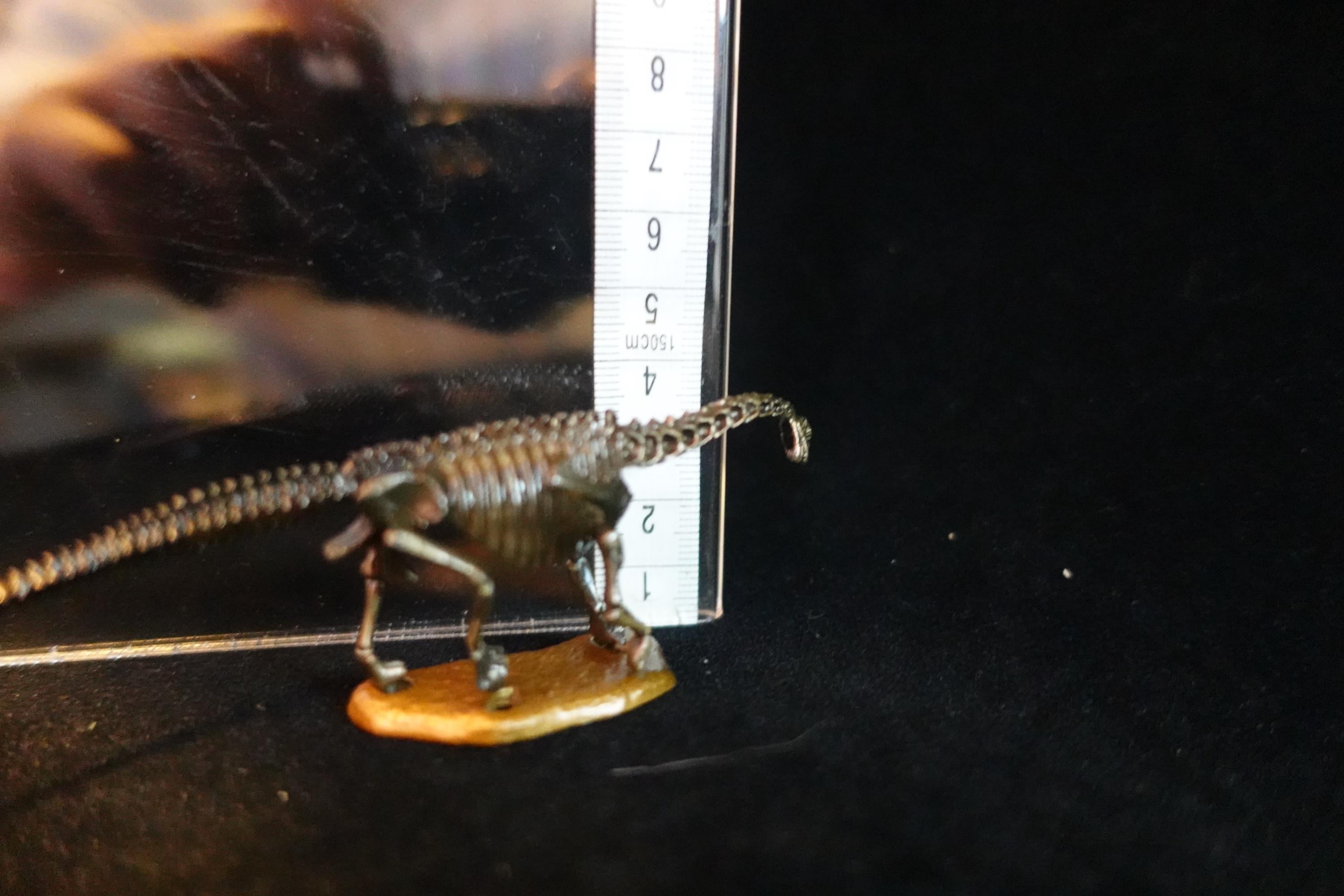 Kaiyodo Dinotales 7 Lawson Edition Part 2 Camarasaurus A