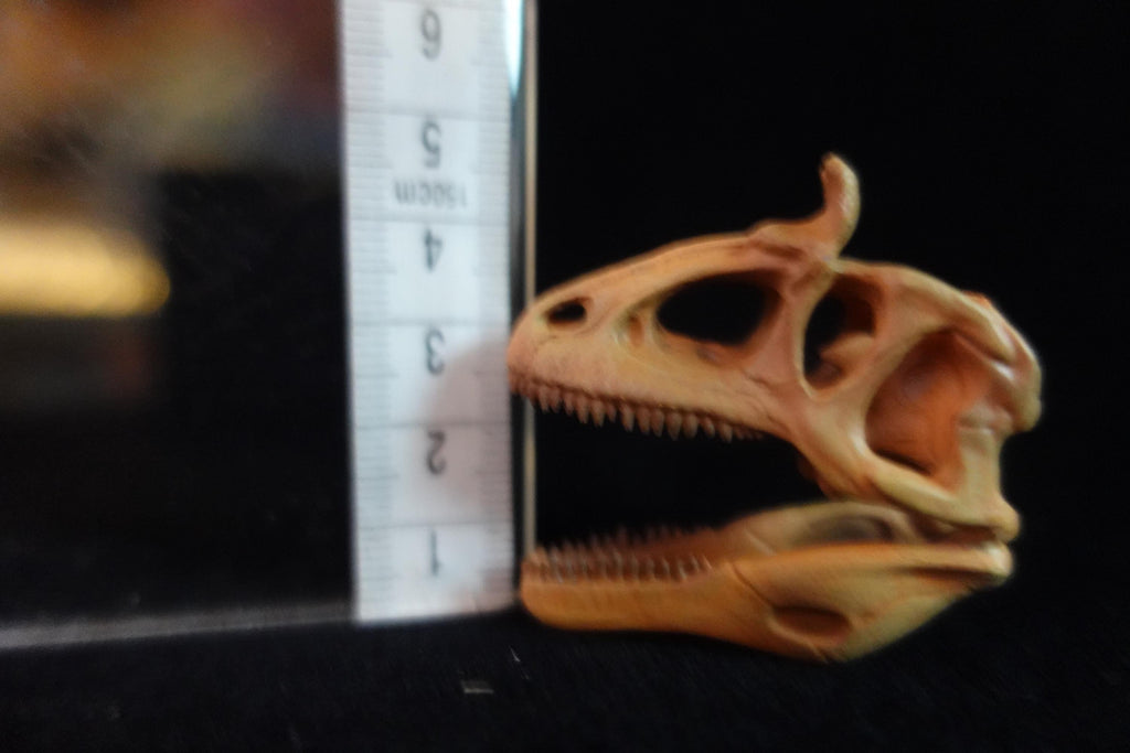 Kaiyodo Dinotales 6 Lawson Edition Limited Cryorophosaurus A