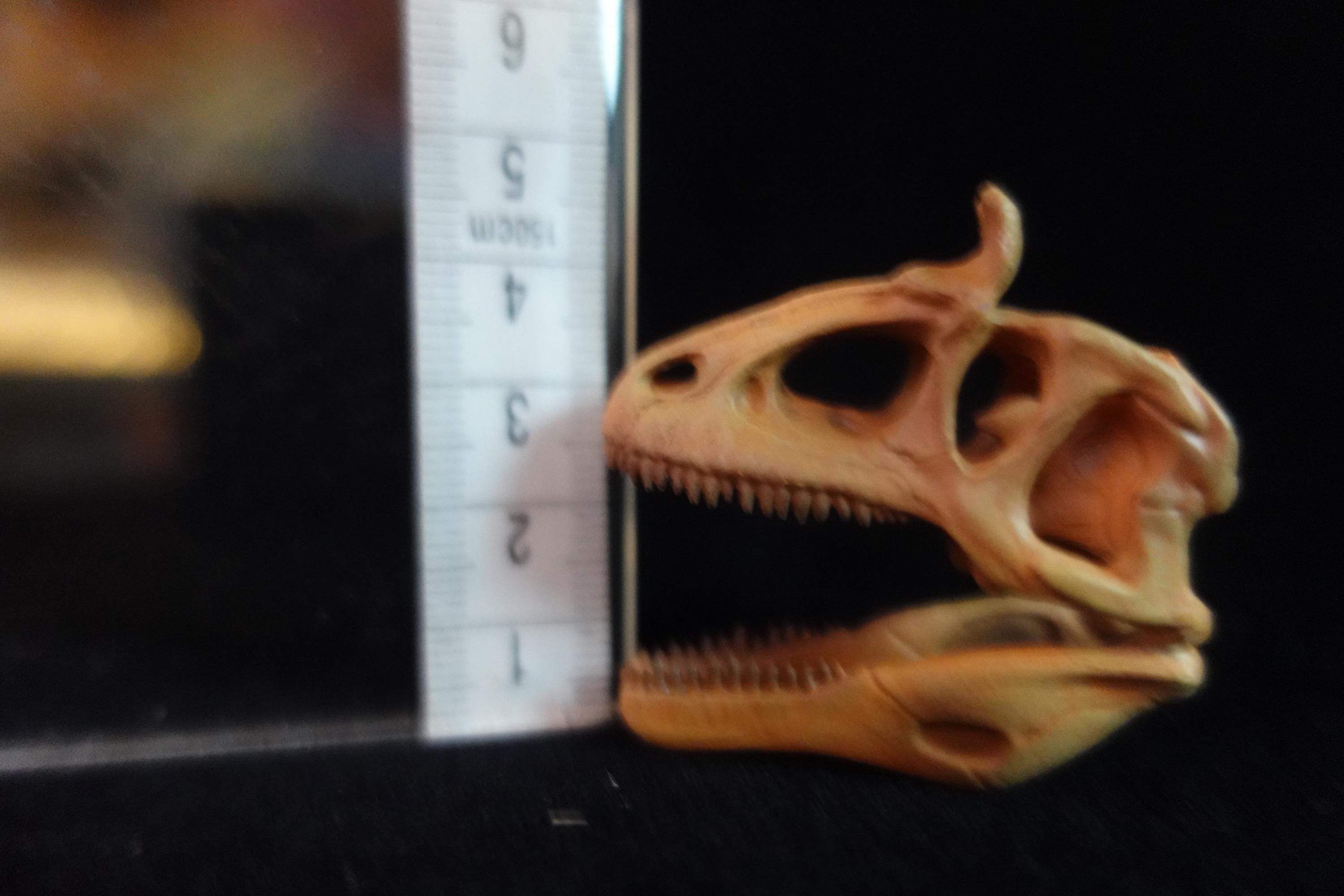 Kaiyodo Dinotales 6 Lawson Edition Limited Cryorophosaurus A