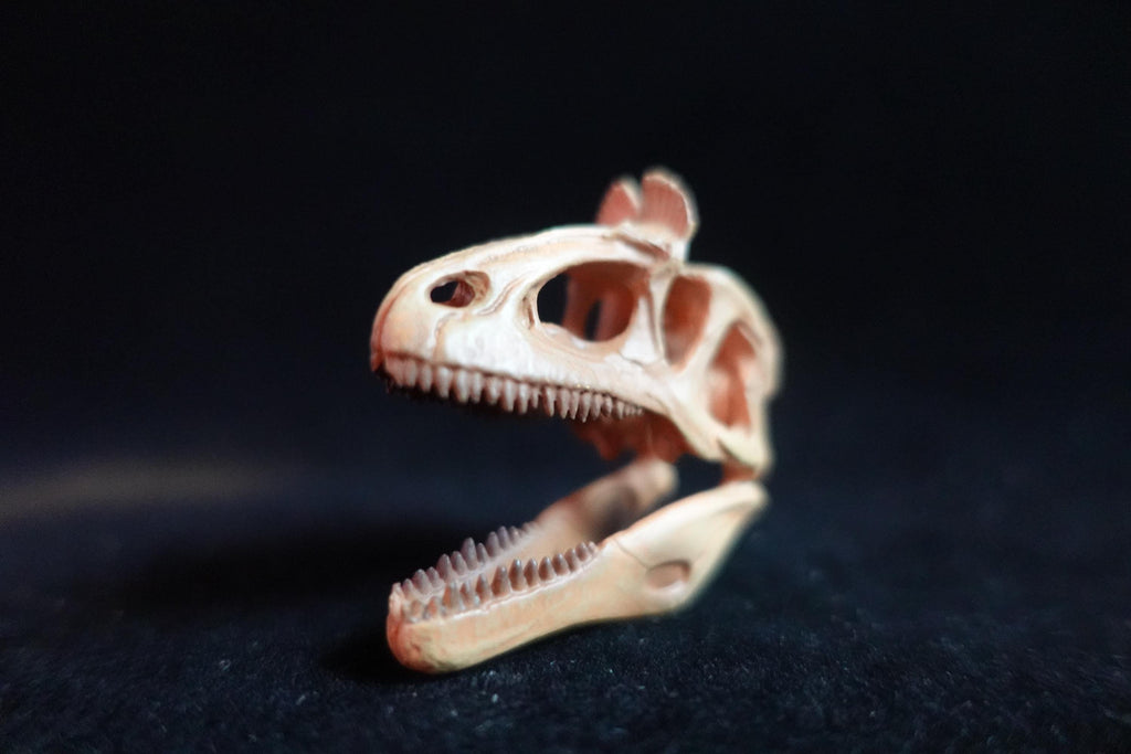 Kaiyodo Dinotales 6 Lawson Edition Limited Cryorophosaurus A
