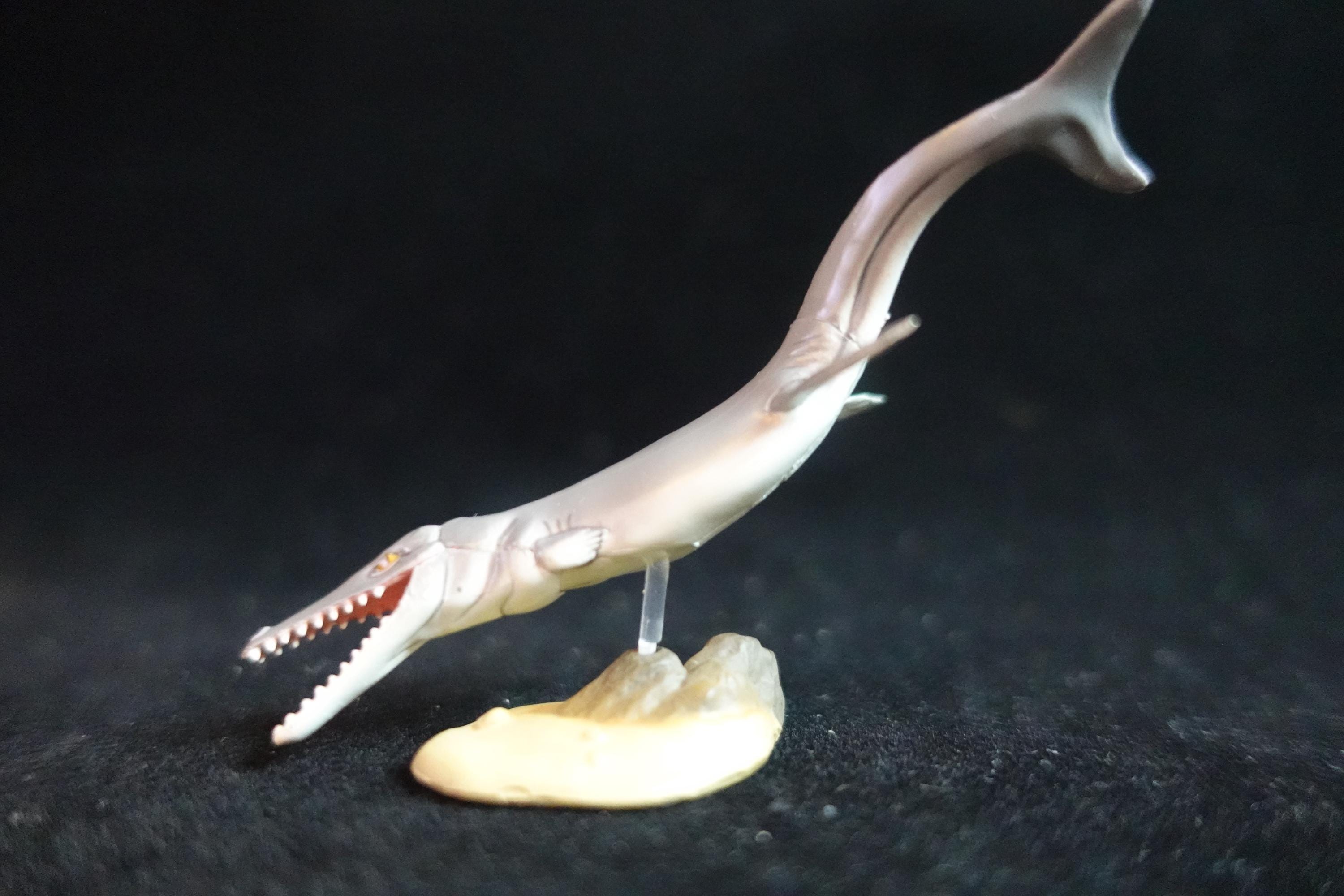 Kaiyodo Dinotales 6 Lawson Edition Limited Metriorhynchus A