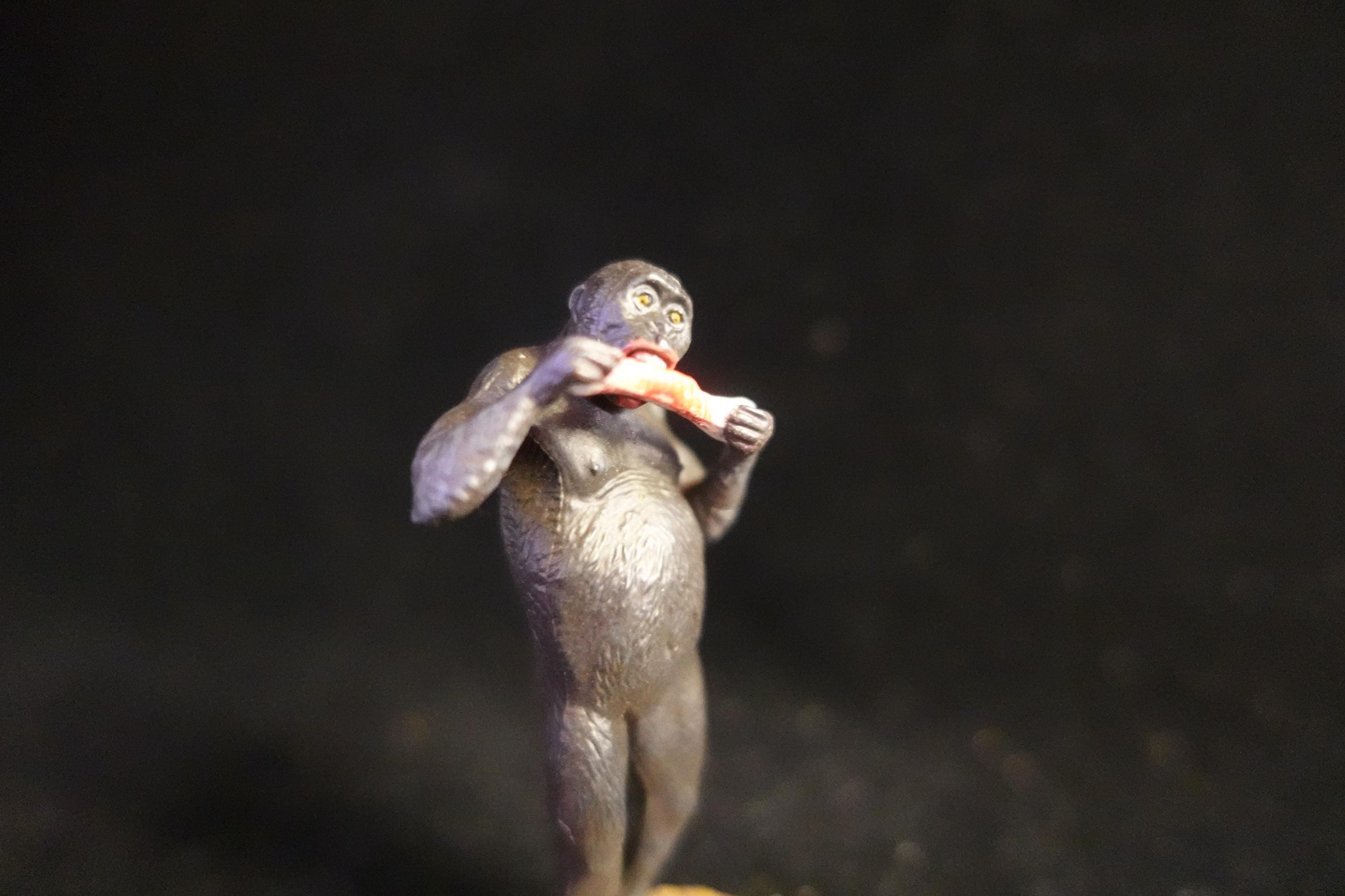 Kaiyodo UHA Dinotales Series 2 Australopithecus Boisei