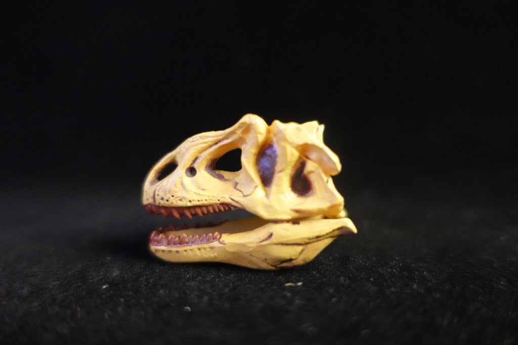 Kaiyodo UHA Dinotales Series 2 Allosaurus Skull