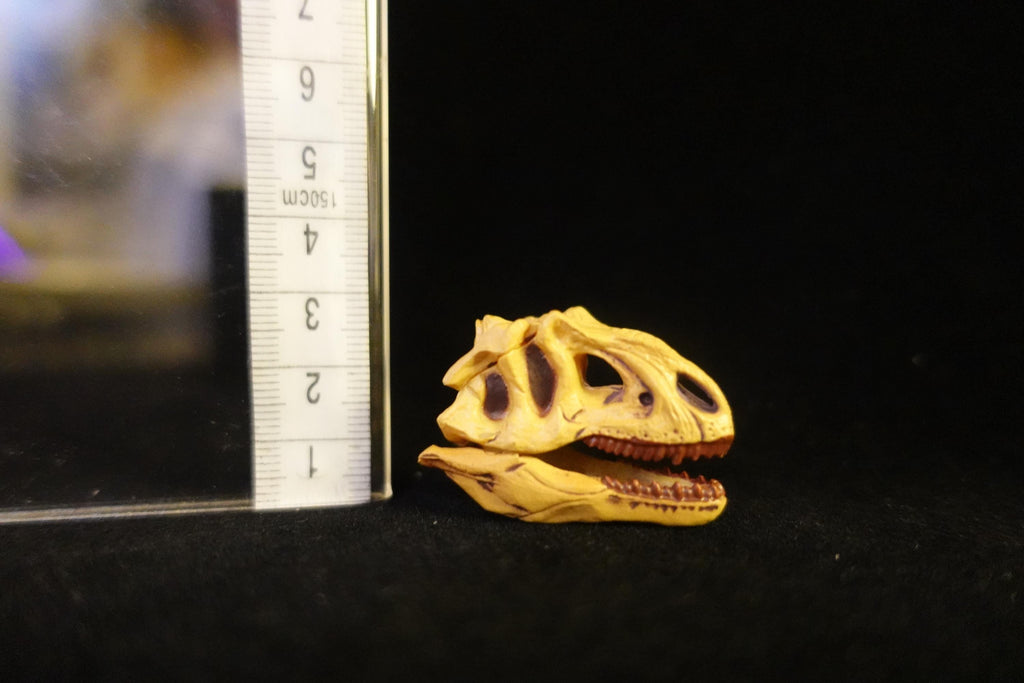 Kaiyodo UHA Dinotales Series 2 Allosaurus Skull