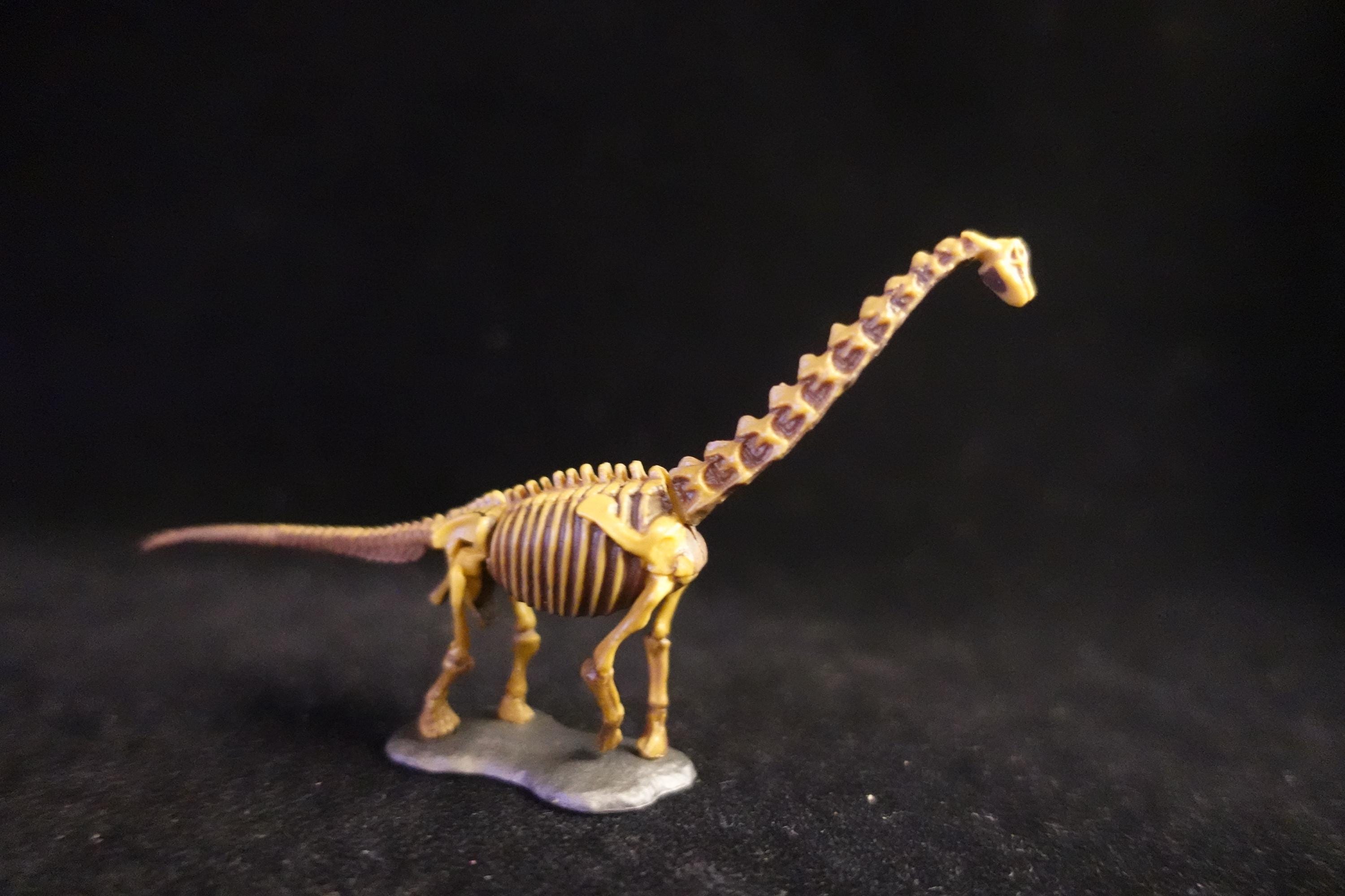 Kaiyodo UHA Dinotales Series 2 Brachiosaurus