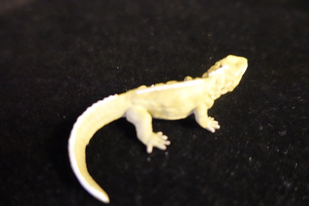 Kaiyodo UHA Dinotales Series 2 Sphenodon punctatus (SP)