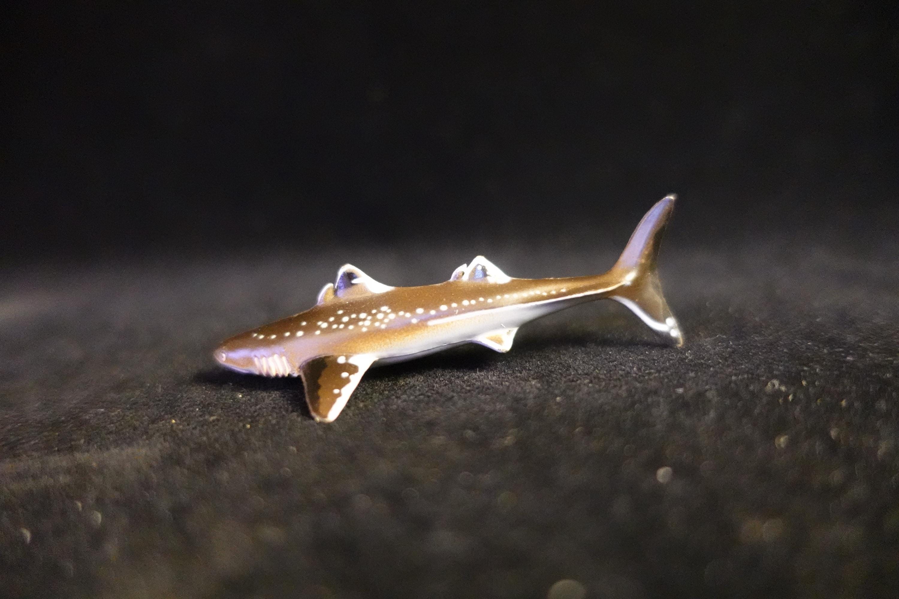 Kaiyodo UHA Dinotales Series 1 Cladoselache prehistoric Shark