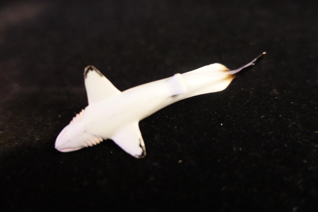 Kaiyodo UHA Dinotales Series 1 Cladoselache prehistoric Shark