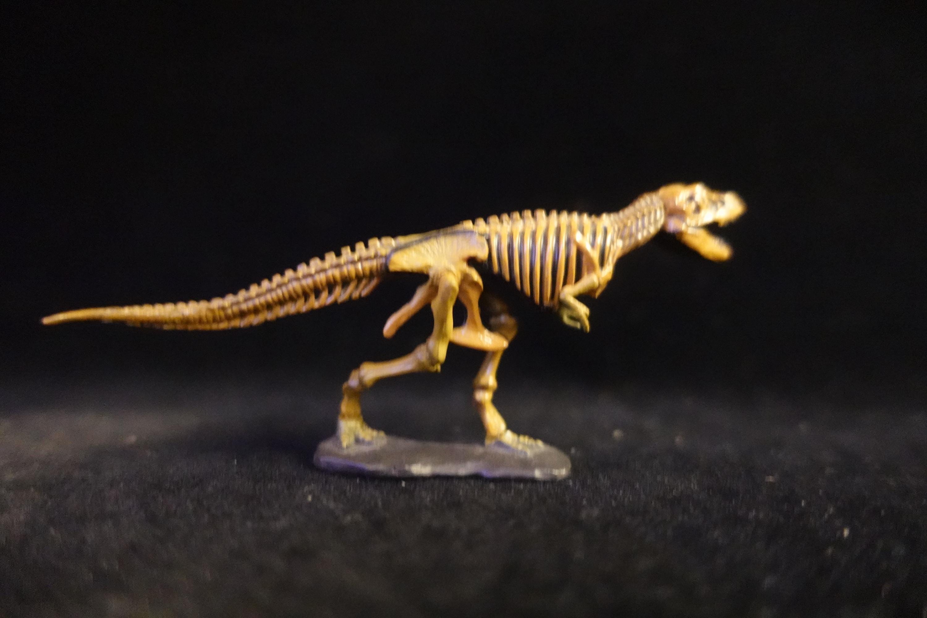 Kaiyodo UHA Dinotales Series 1 Tyrannosaurus Skeleton