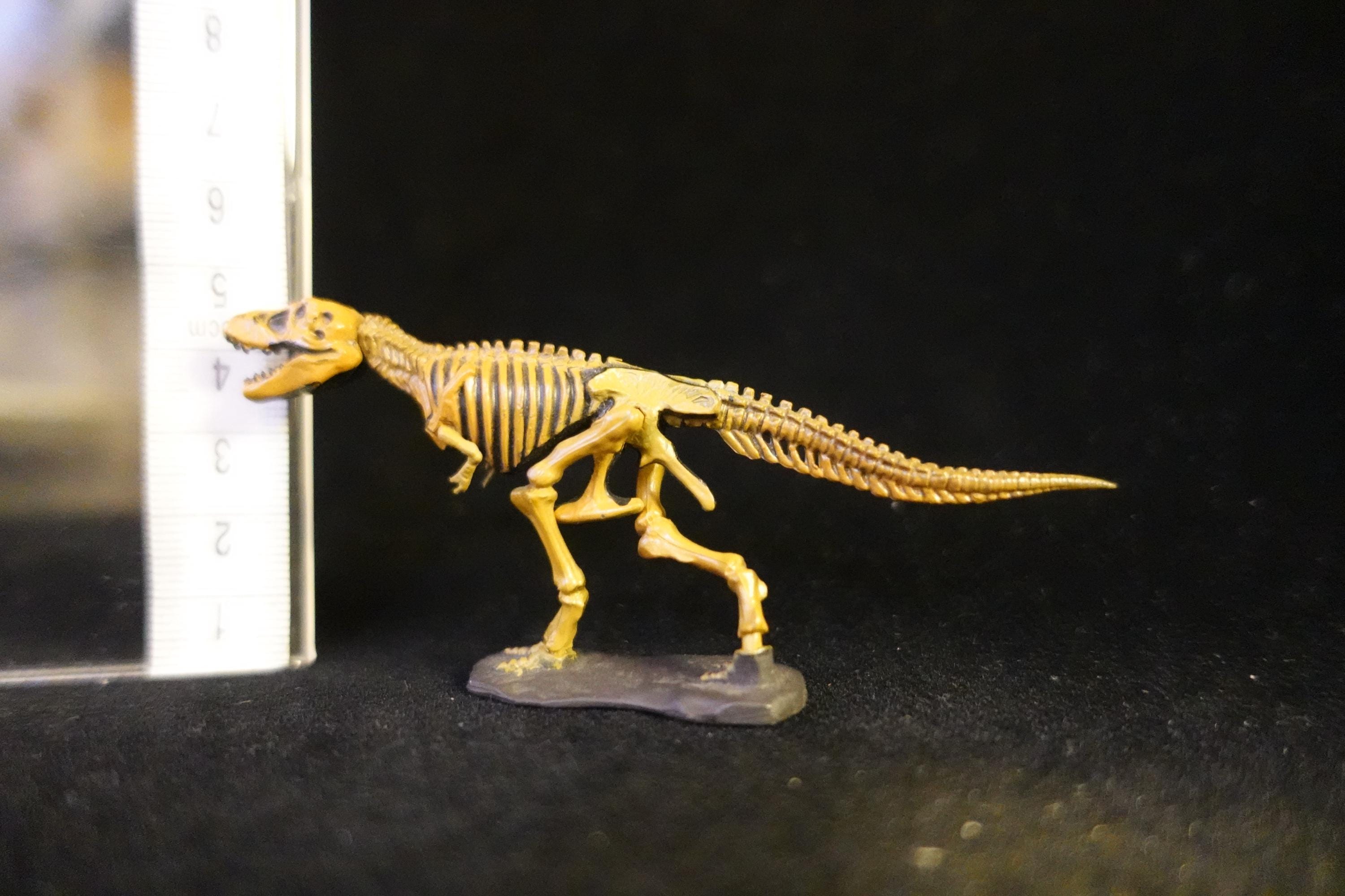 Kaiyodo UHA Dinotales Series 1 Tyrannosaurus Skeleton