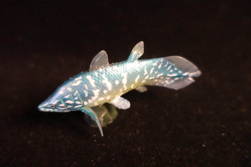 Kaiyodo UHA Dinotales Series 1 Axelrodichthys