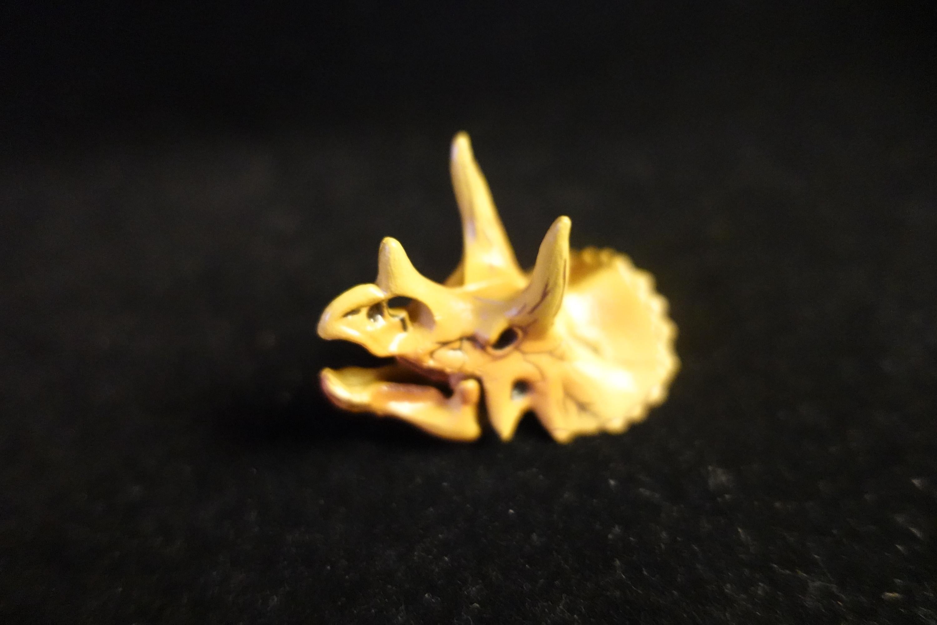 Kaiyodo UHA Dinotales Series 1 Triceratops Skull