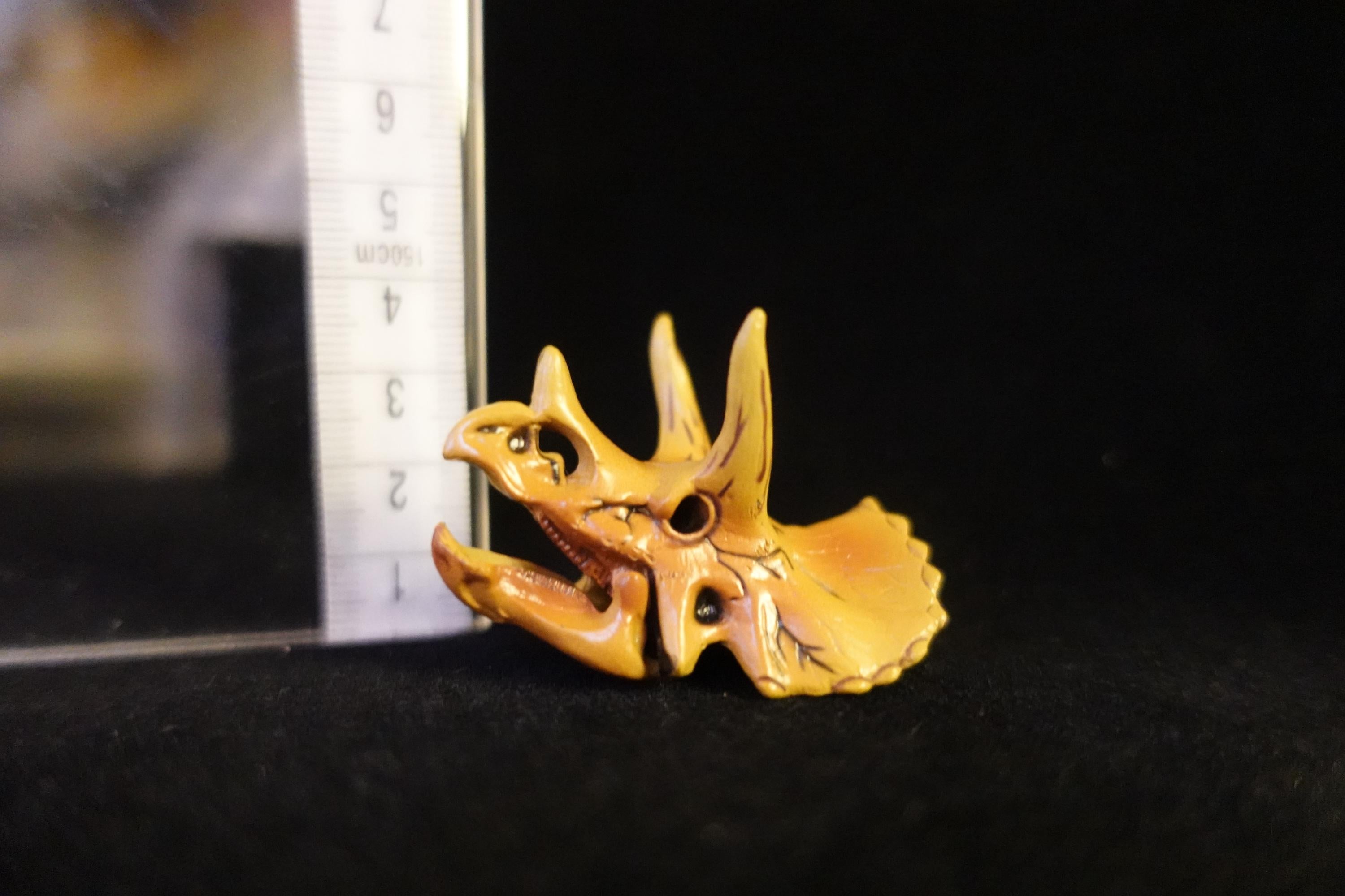 Kaiyodo UHA Dinotales Series 1 Triceratops Skull