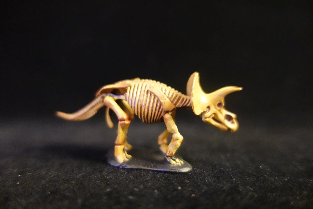 Kaiyodo UHA Dinotales Series 1 Triceratops Skeleton
