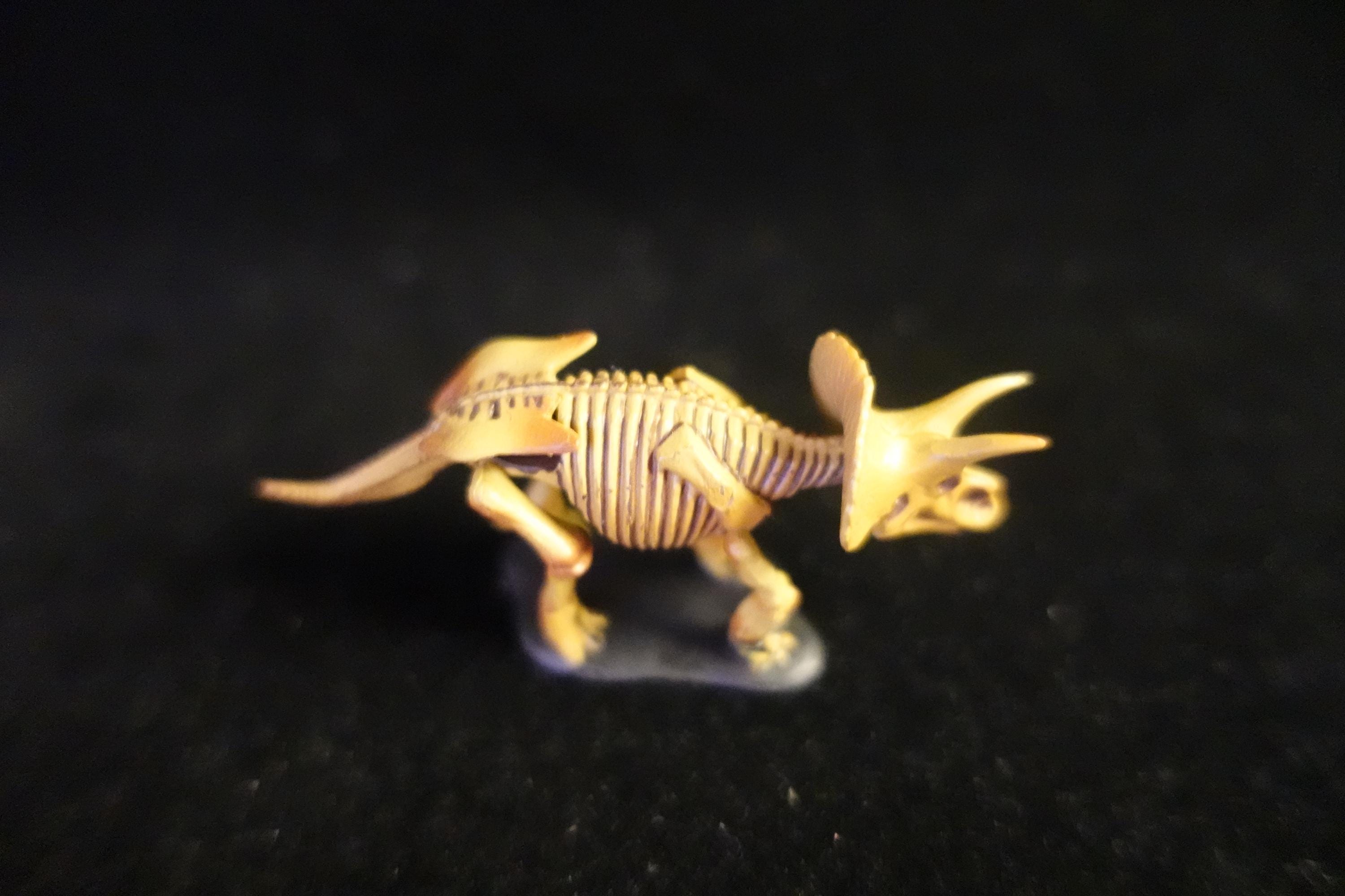 Kaiyodo UHA Dinotales Series 1 Triceratops Skeleton