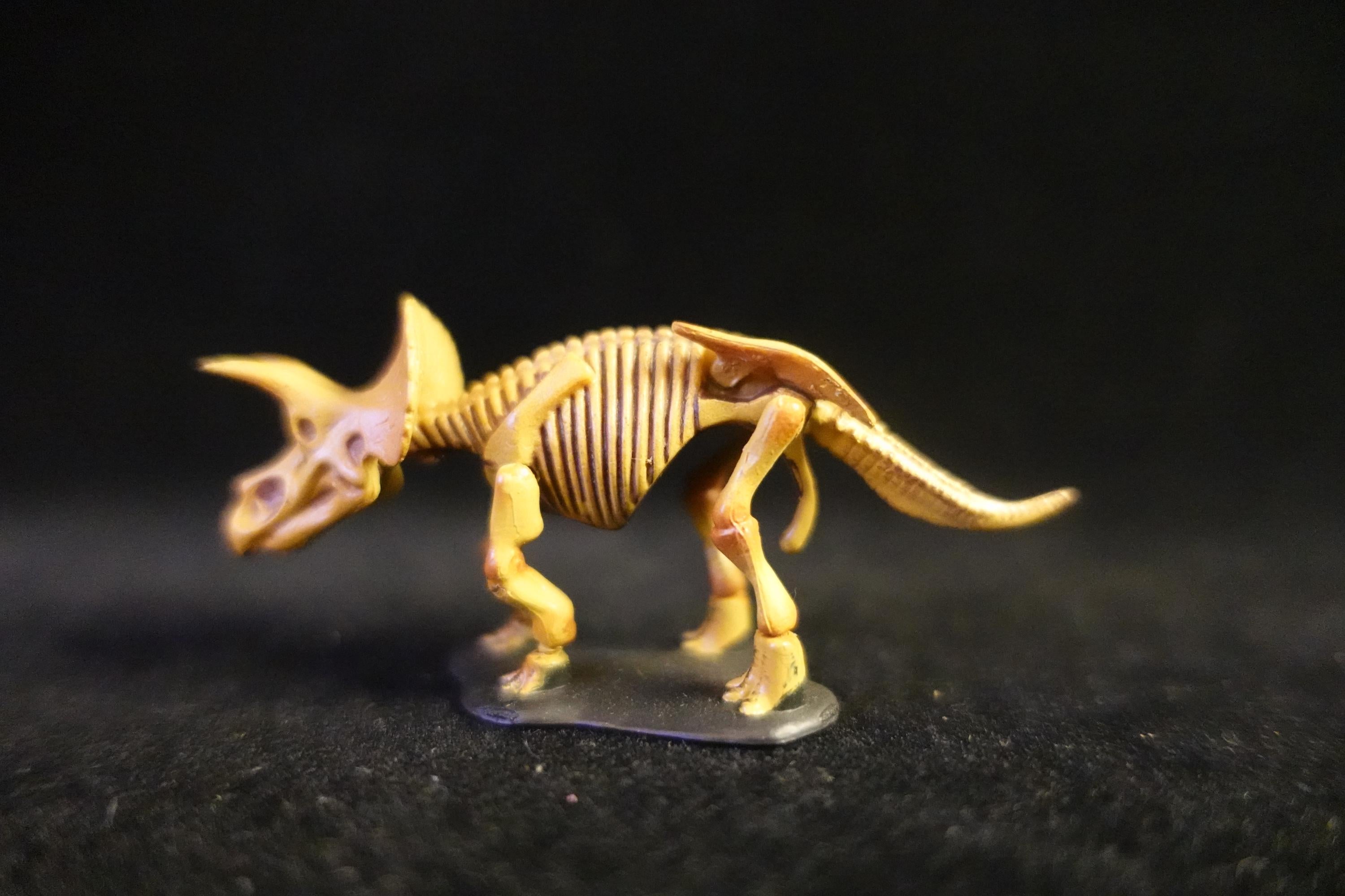 Kaiyodo UHA Dinotales Series 1 Triceratops Skeleton