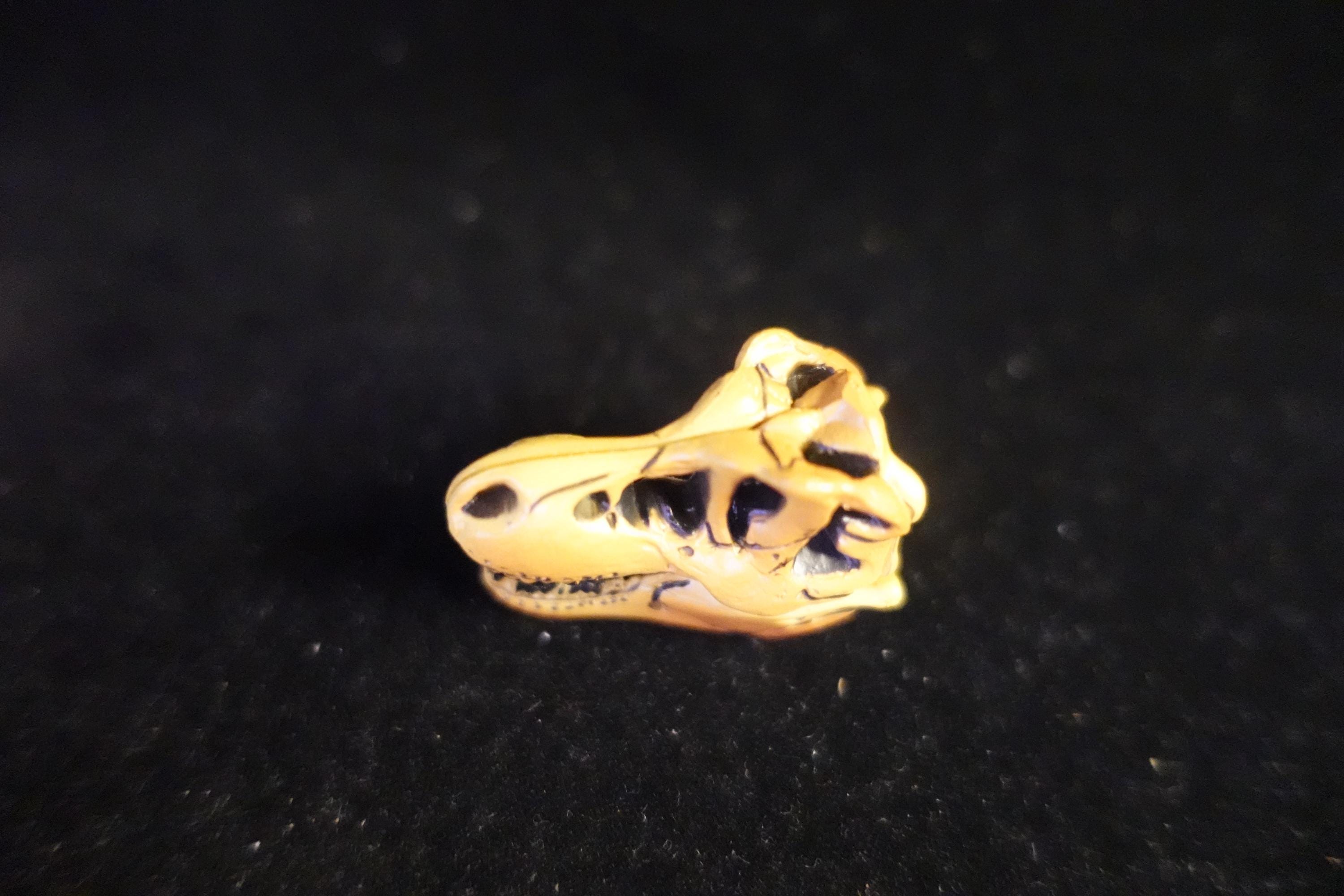 Kaiyodo UHA Dinotales Series 1 Tyrannosaurus Skull