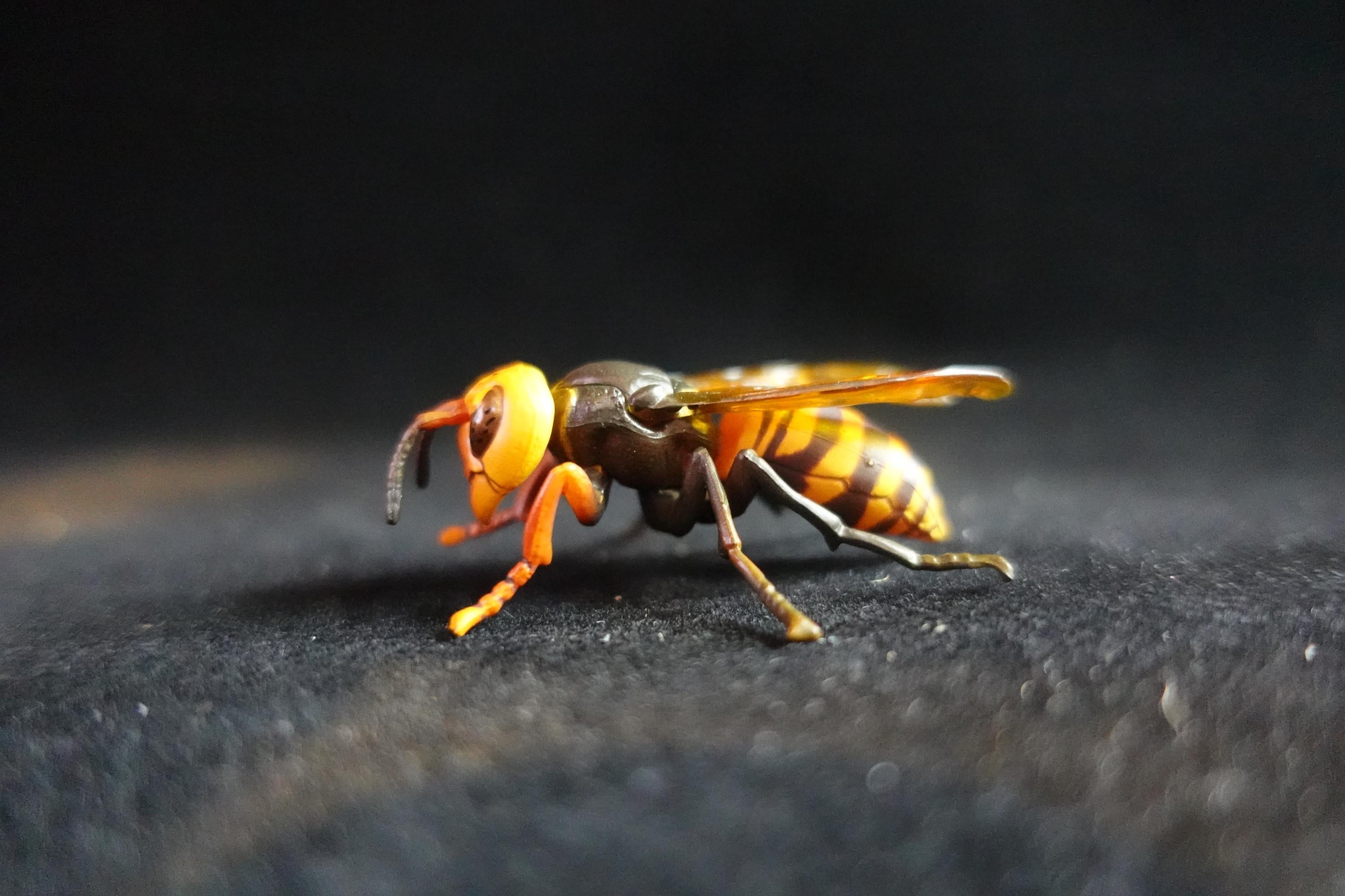 Kaiyodo ChocoQ Animatales Series 7 Giant Hornet
