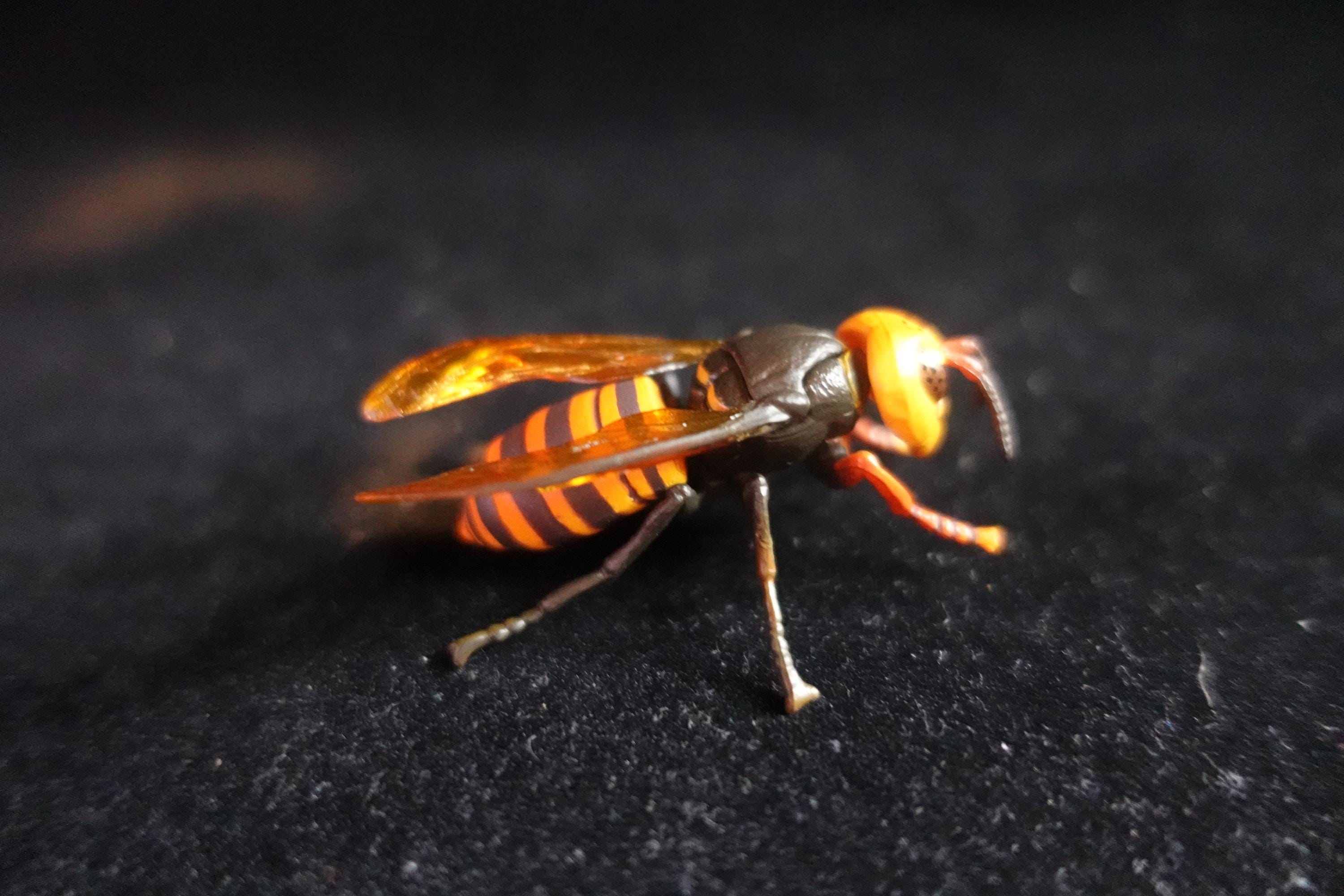 Kaiyodo ChocoQ Animatales Series 7 Giant Hornet