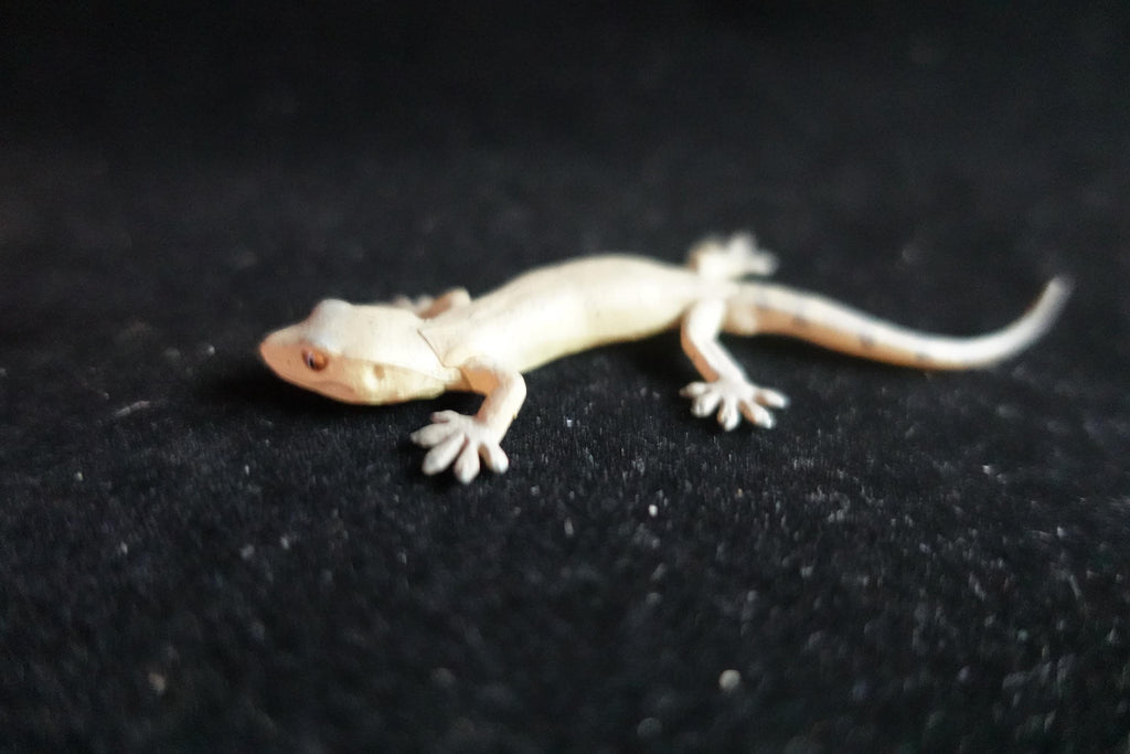 Kaiyodo ChocoQ Animatales Series 7 Japanese Gecko