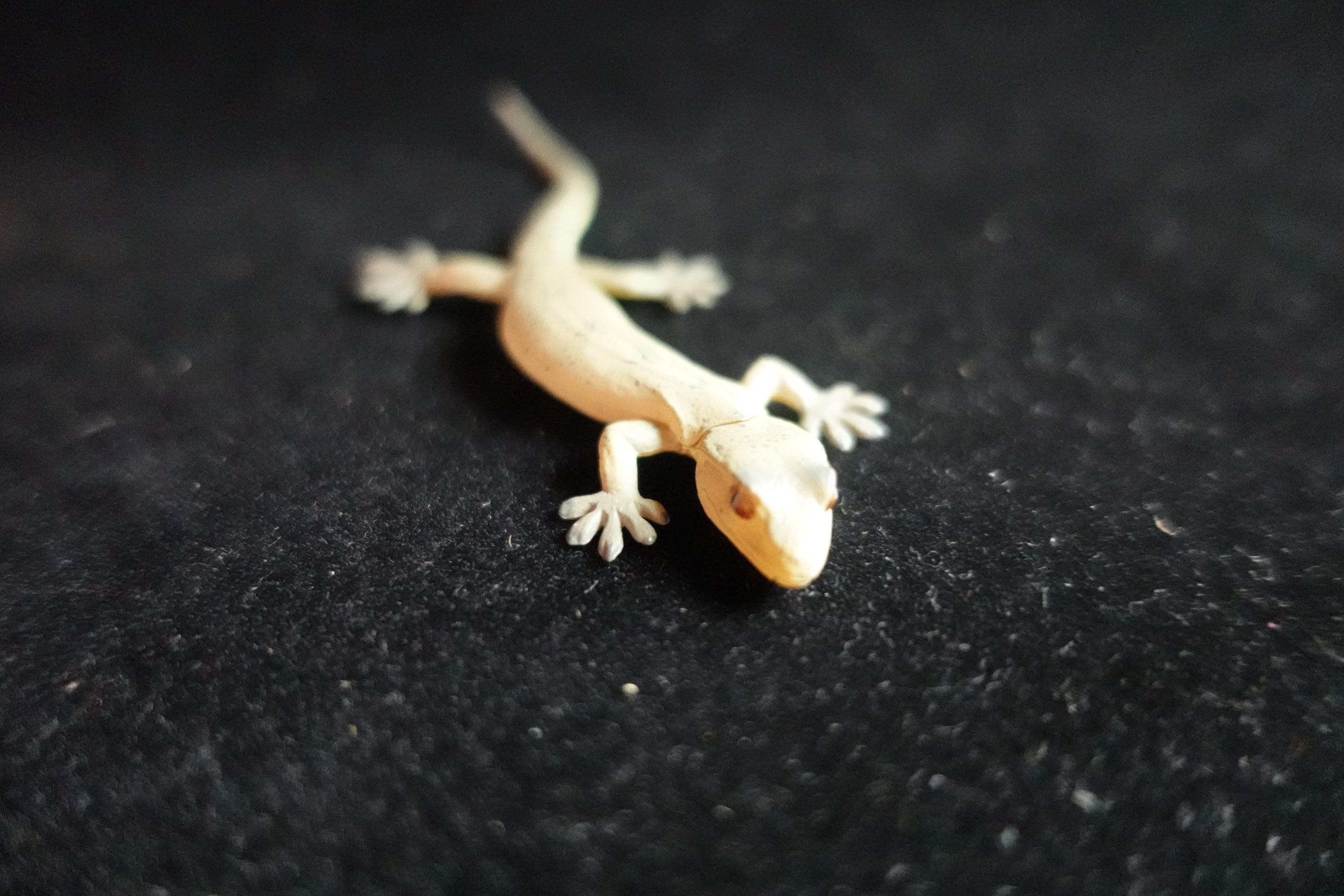 Kaiyodo ChocoQ Animatales Series 7 Japanese Gecko