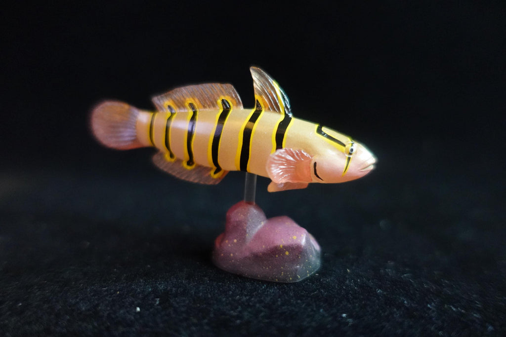 Kaiyodo ChocoQ Animatales Series 7 Goby Fish