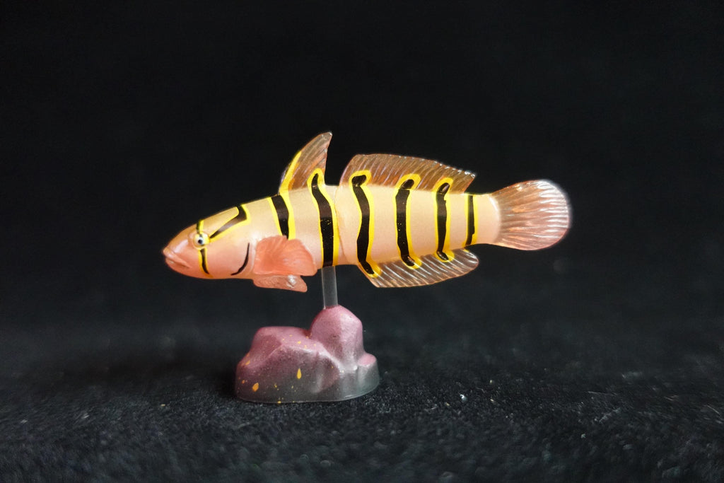 Kaiyodo ChocoQ Animatales Series 7 Goby Fish