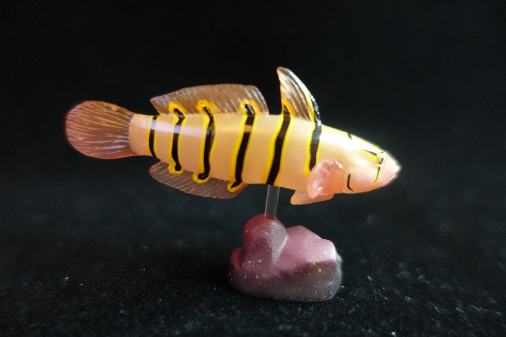Kaiyodo ChocoQ Animatales Series 7 Goby Fish