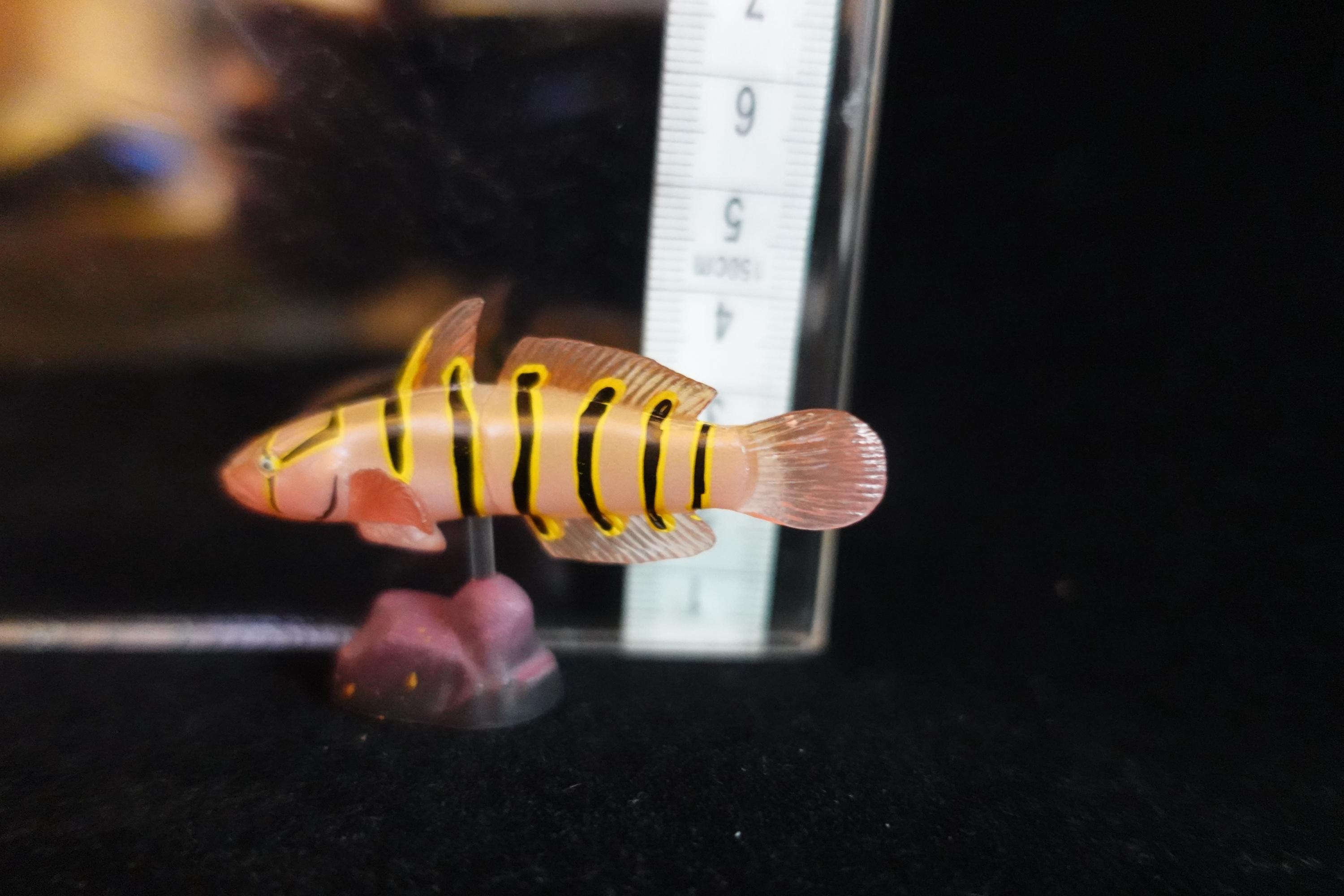 Kaiyodo ChocoQ Animatales Series 7 Goby Fish